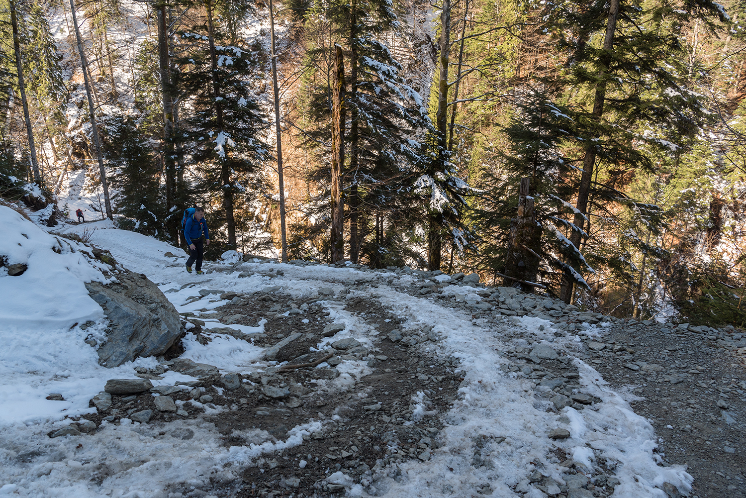 Munții Făgărașului