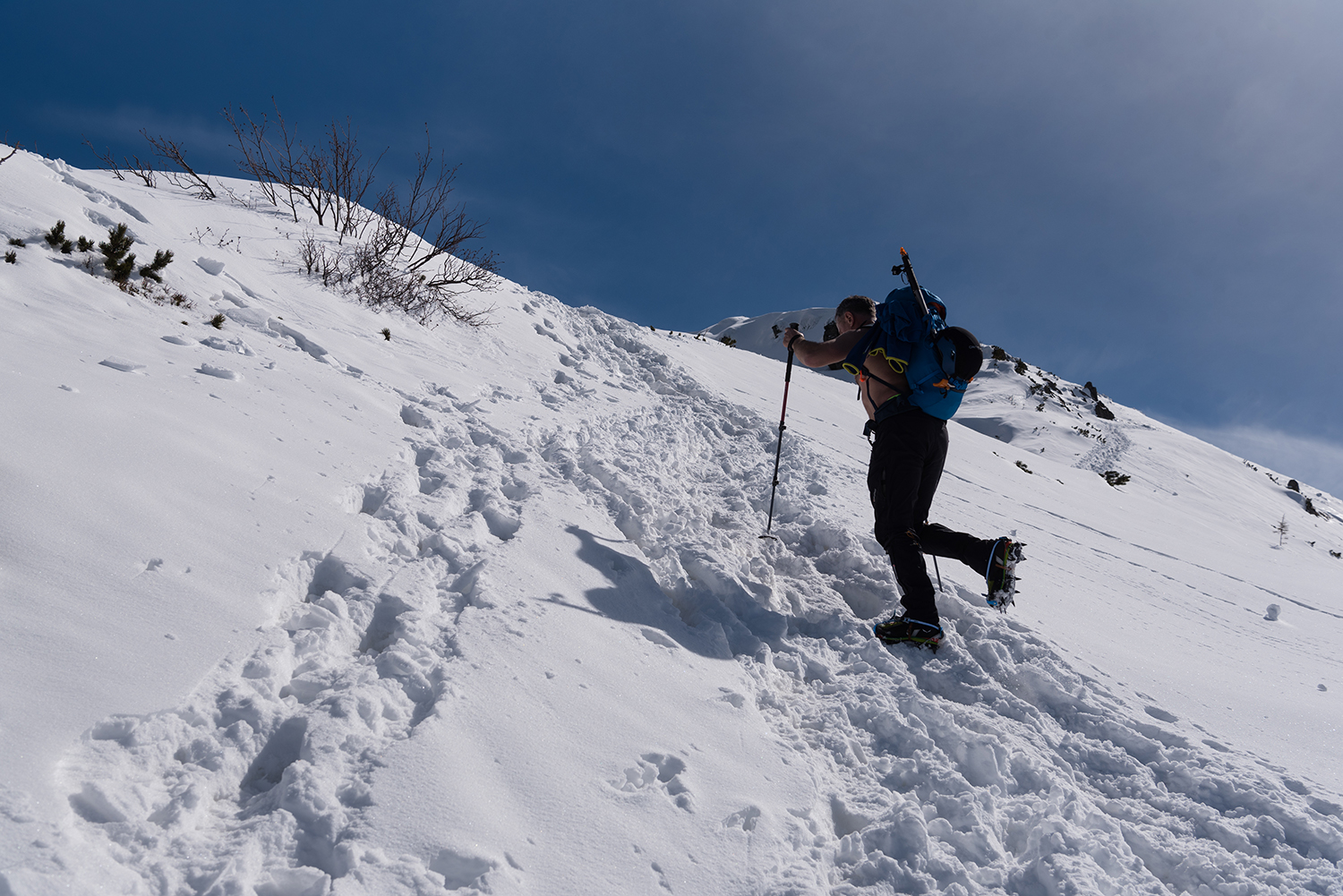 Munții Făgărașului