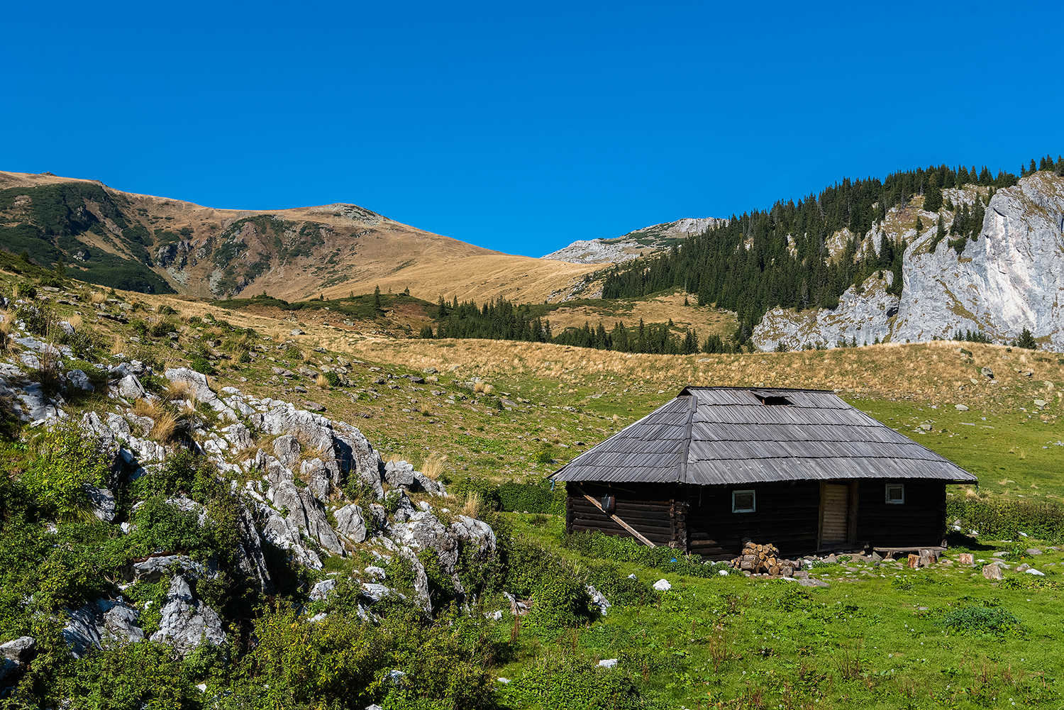  Munții Piule - Iorgovanu