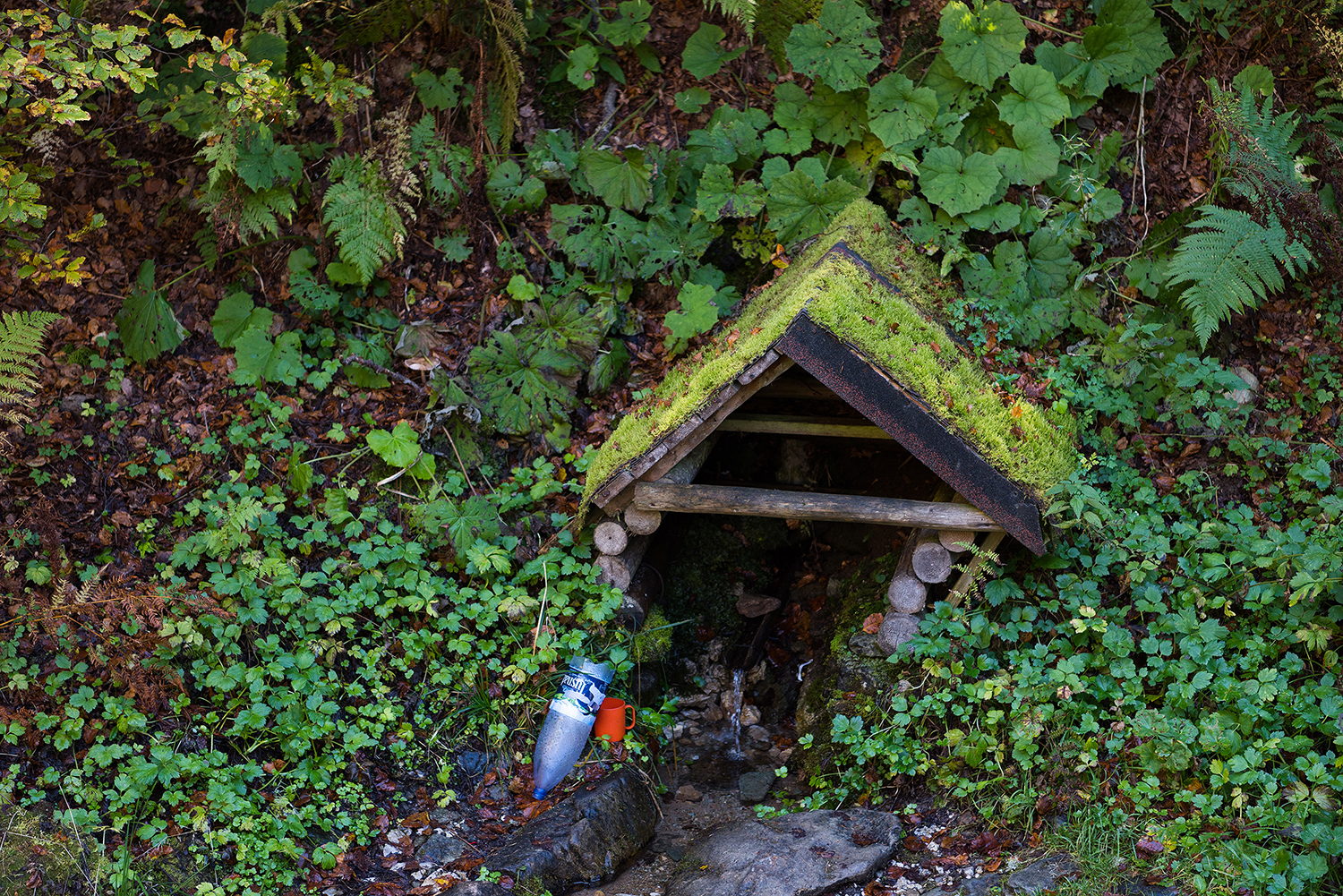 Munții Piule - Iorgovanu