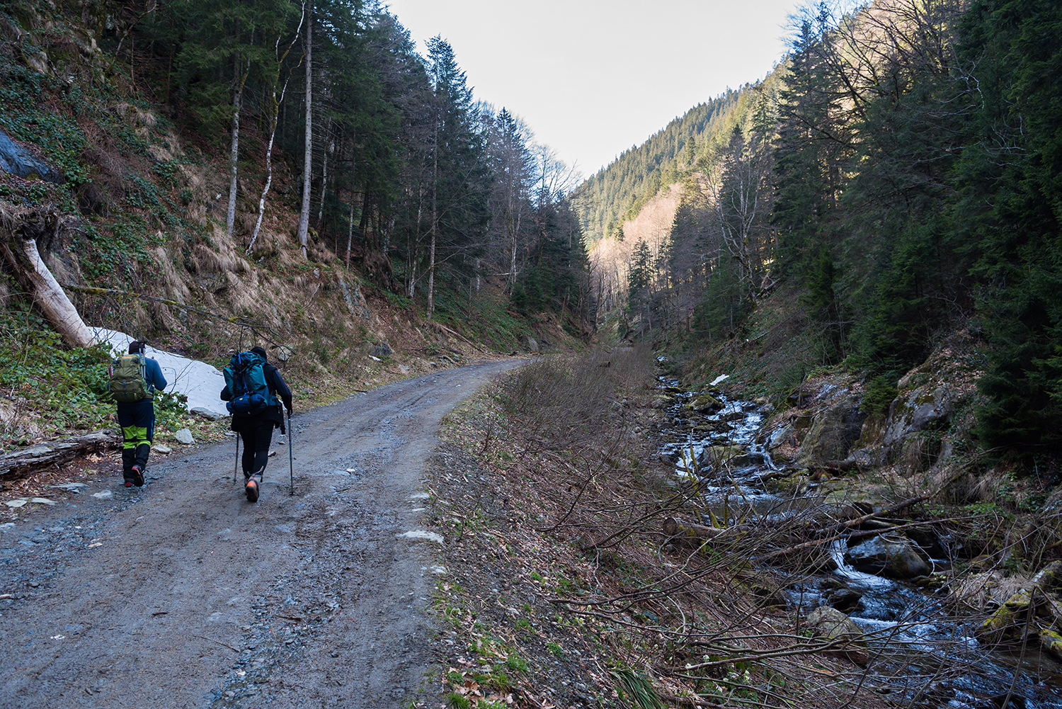 Munții Făgărașului