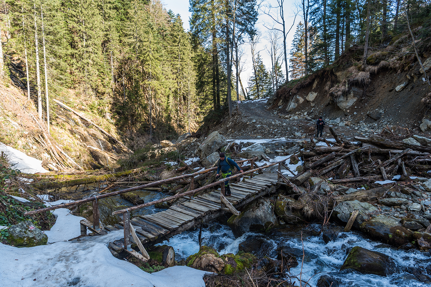 Munții Făgărașului
