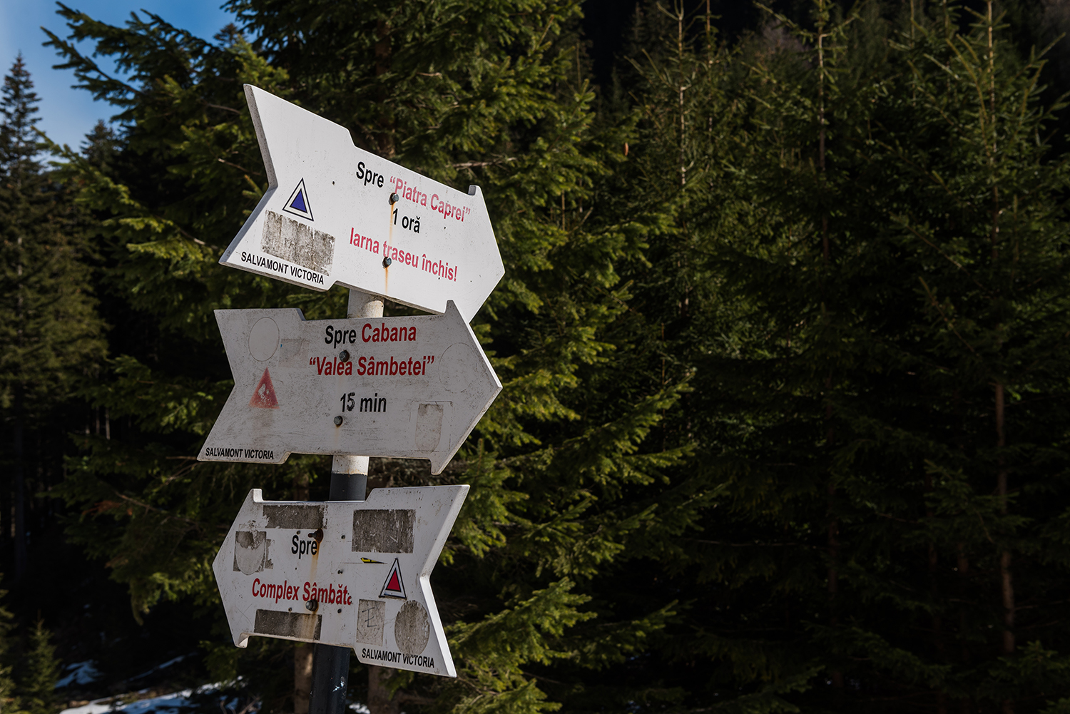 Munții Făgărașului