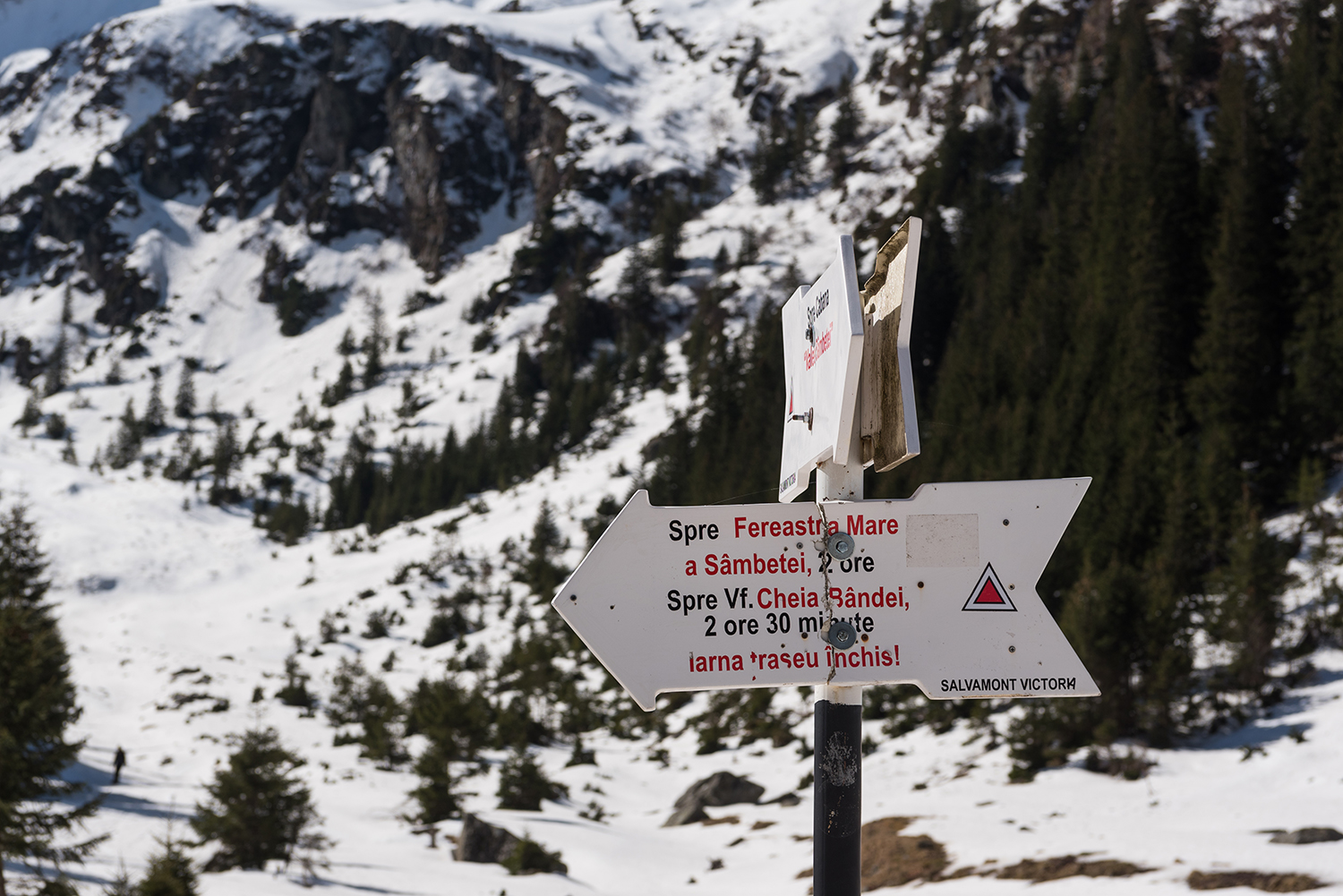 Munții Făgărașului