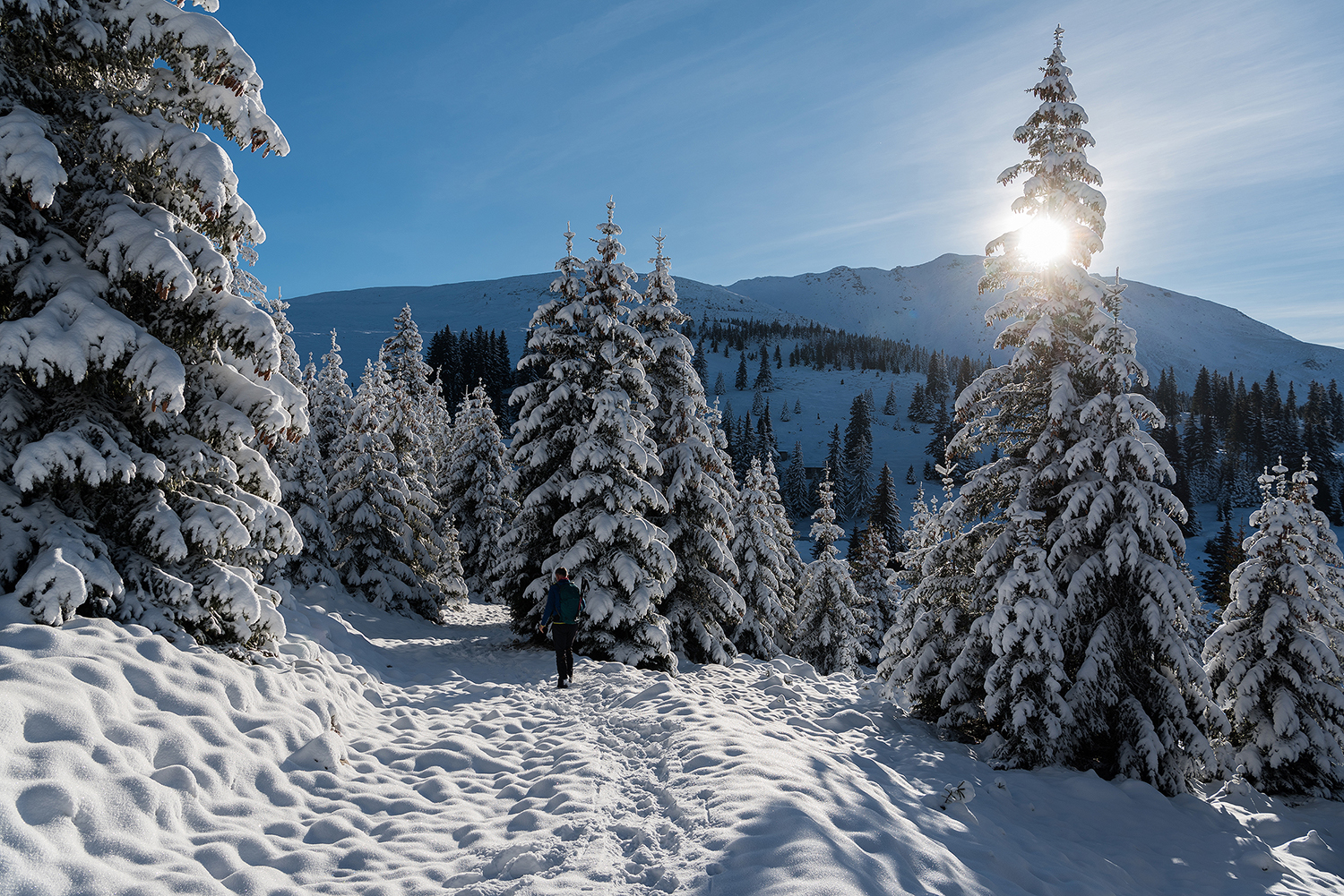 Carpații Meridionali