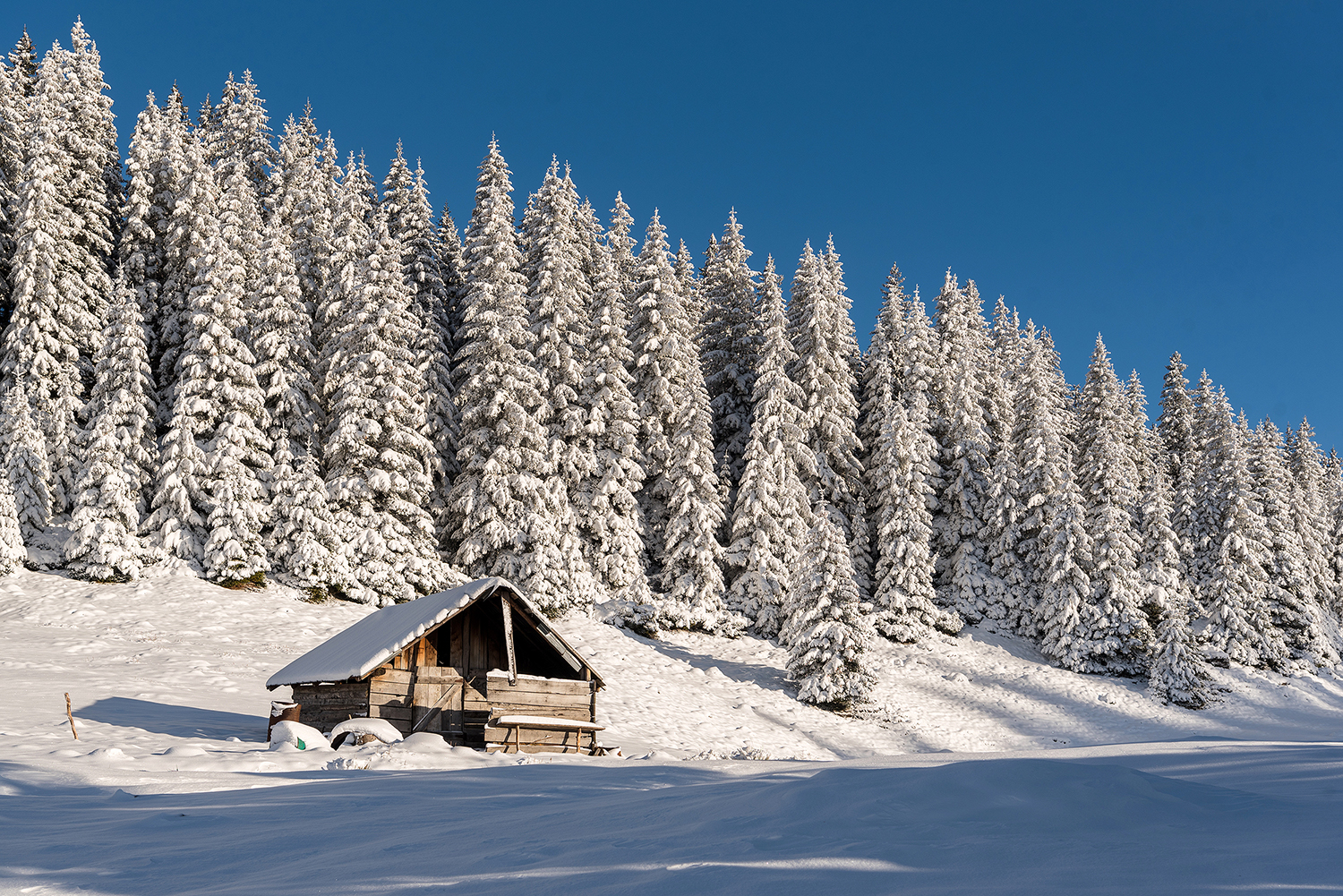 Carpații Meridionali