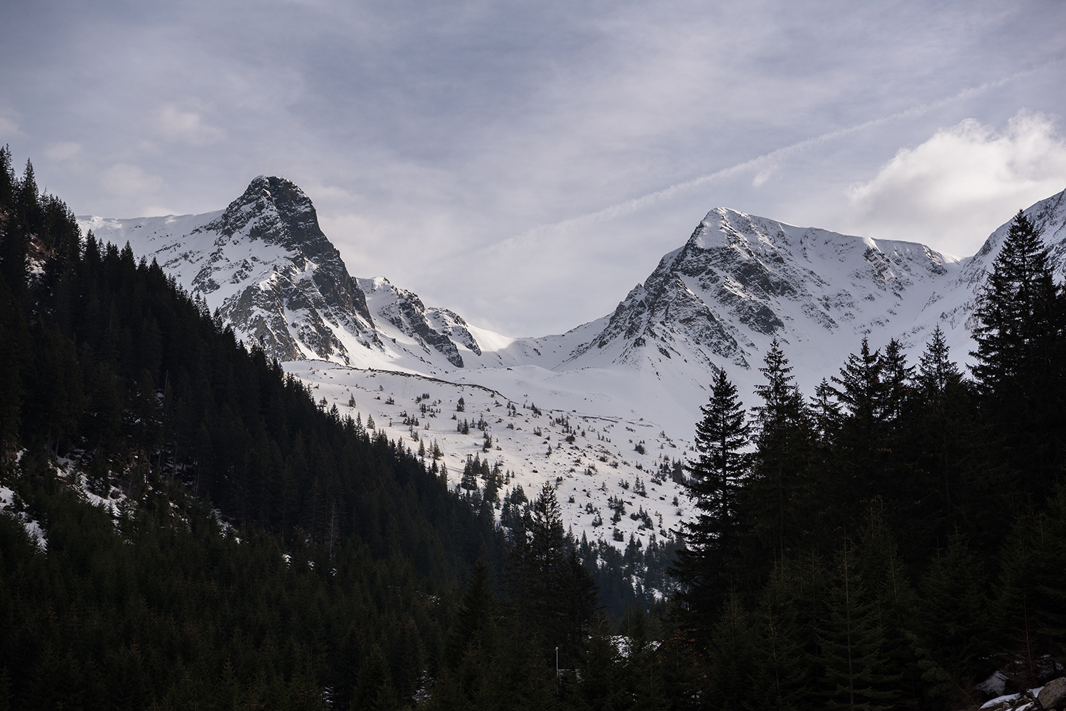 Munții Făgărașului