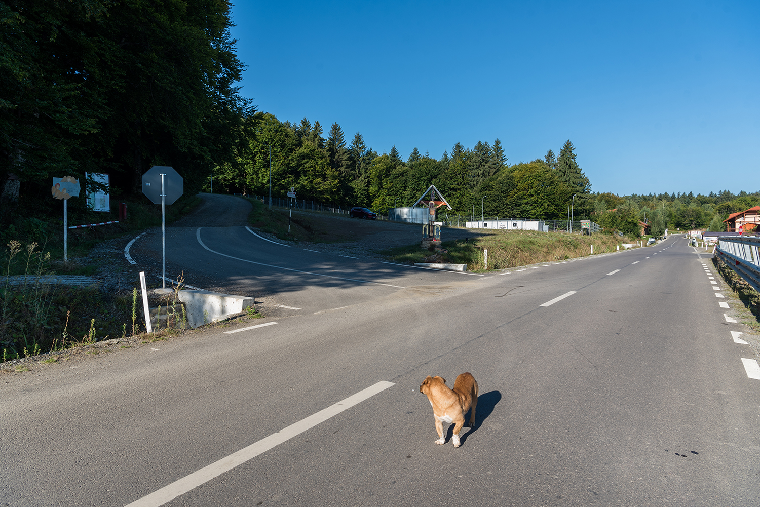 Munții Făgărașului