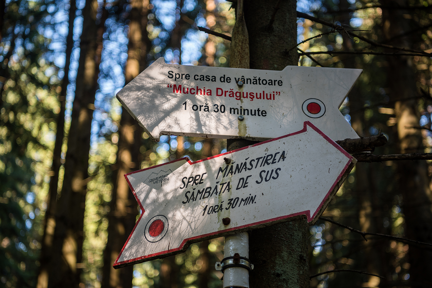 Munții Făgărașului