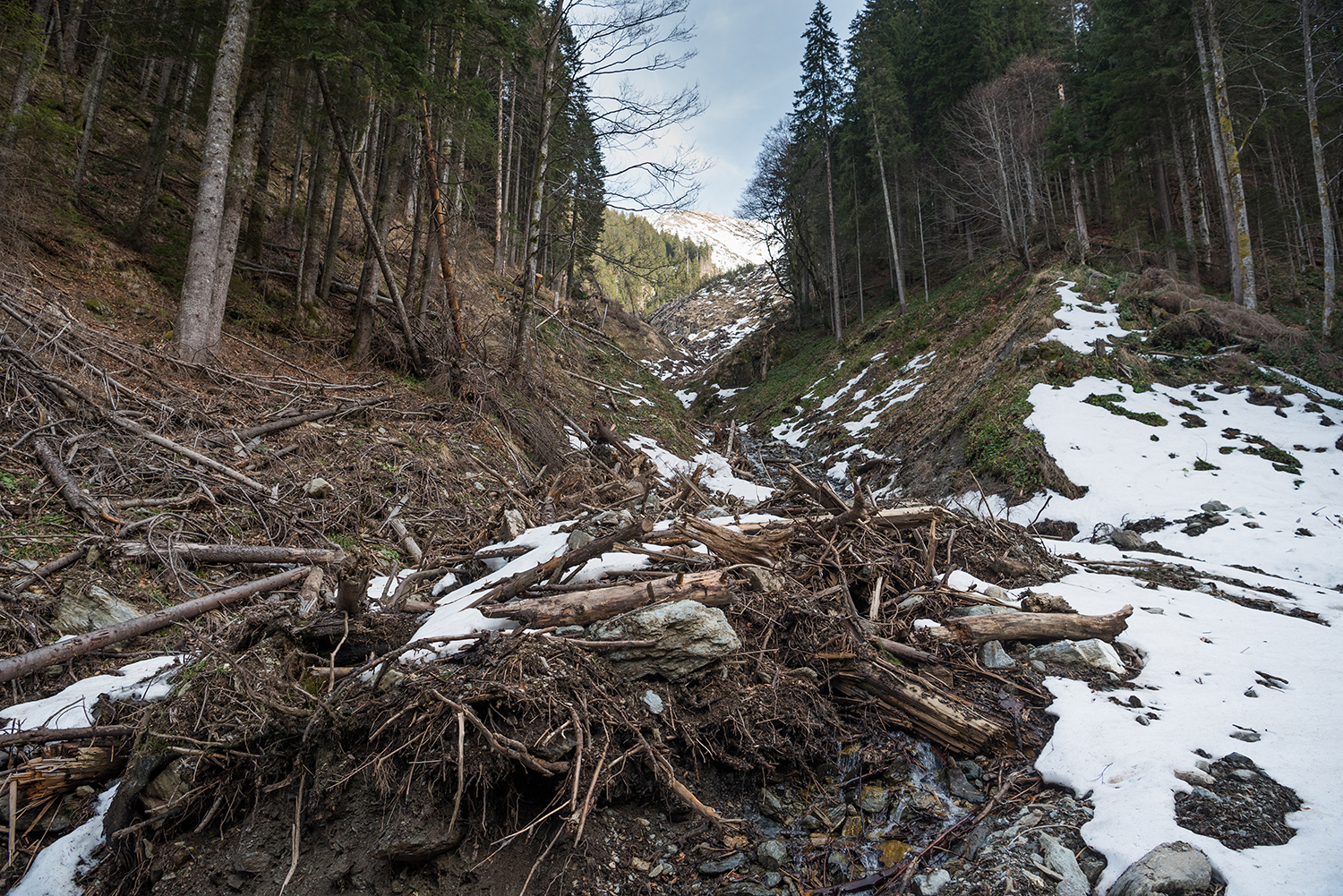 Munții Făgărașului