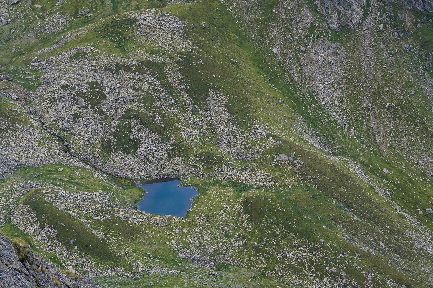 Munții Făgărașului