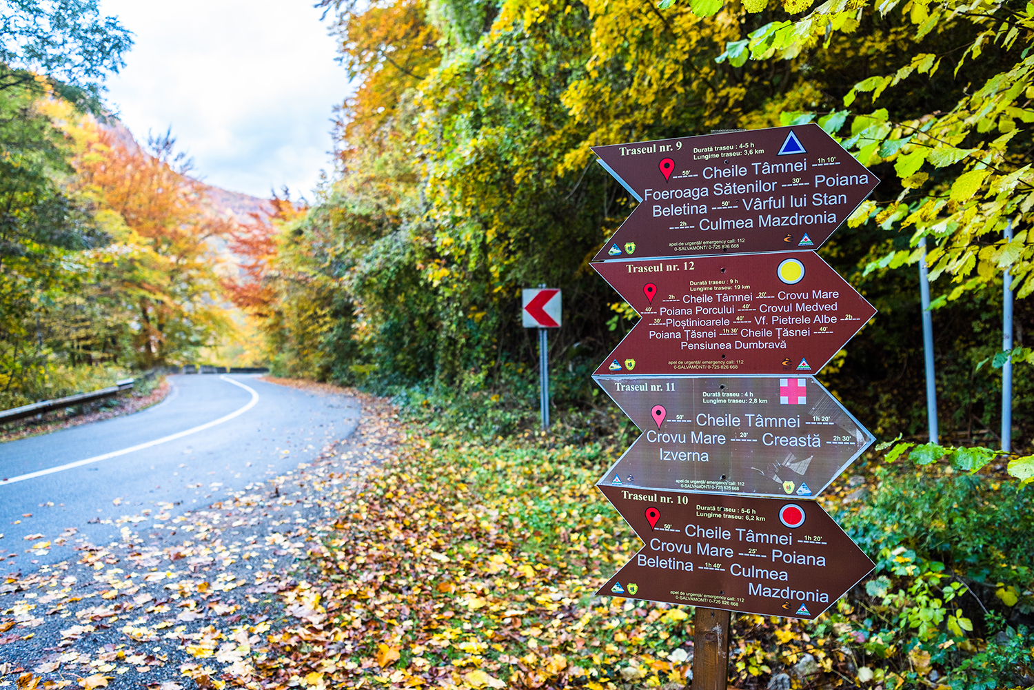 Parcul National Domogled-Valea Cernei