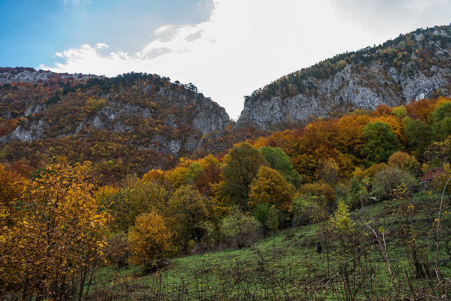 Parcul National Domogled-Valea Cernei