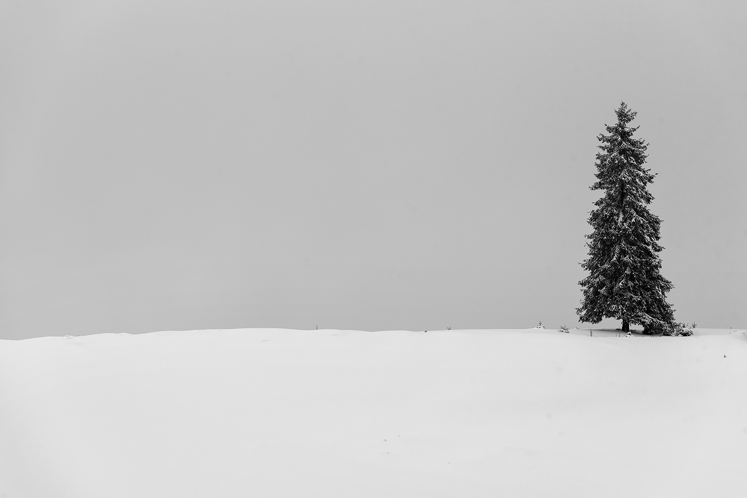 Carpații Meridionali