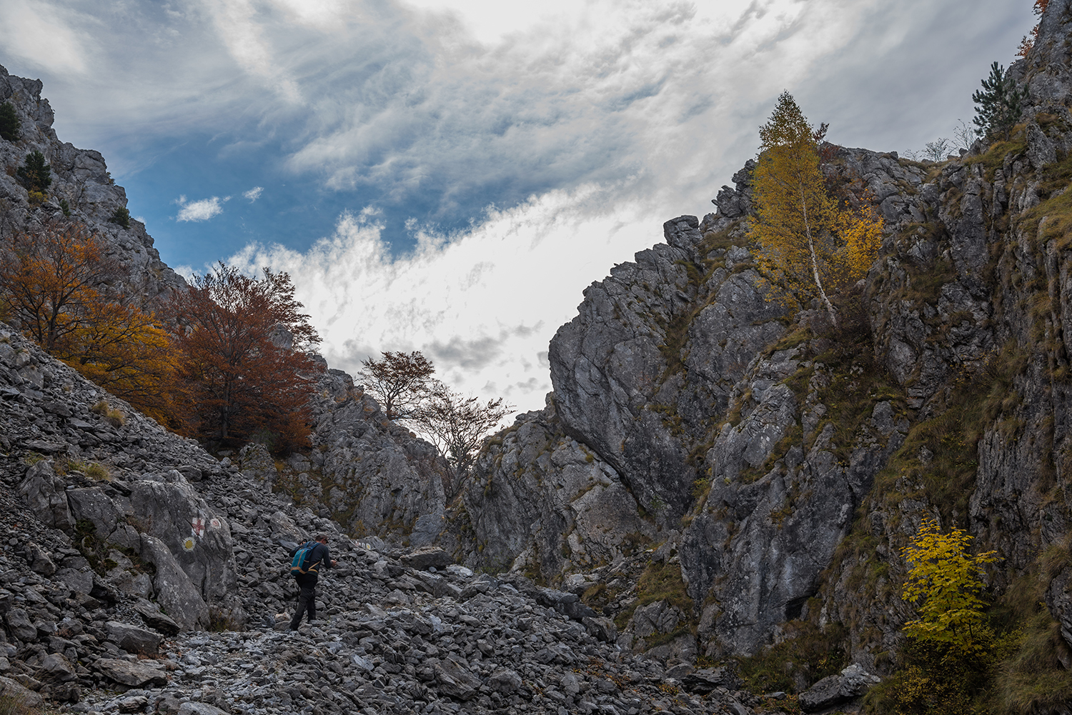 Parcul National Domogled-Valea Cernei