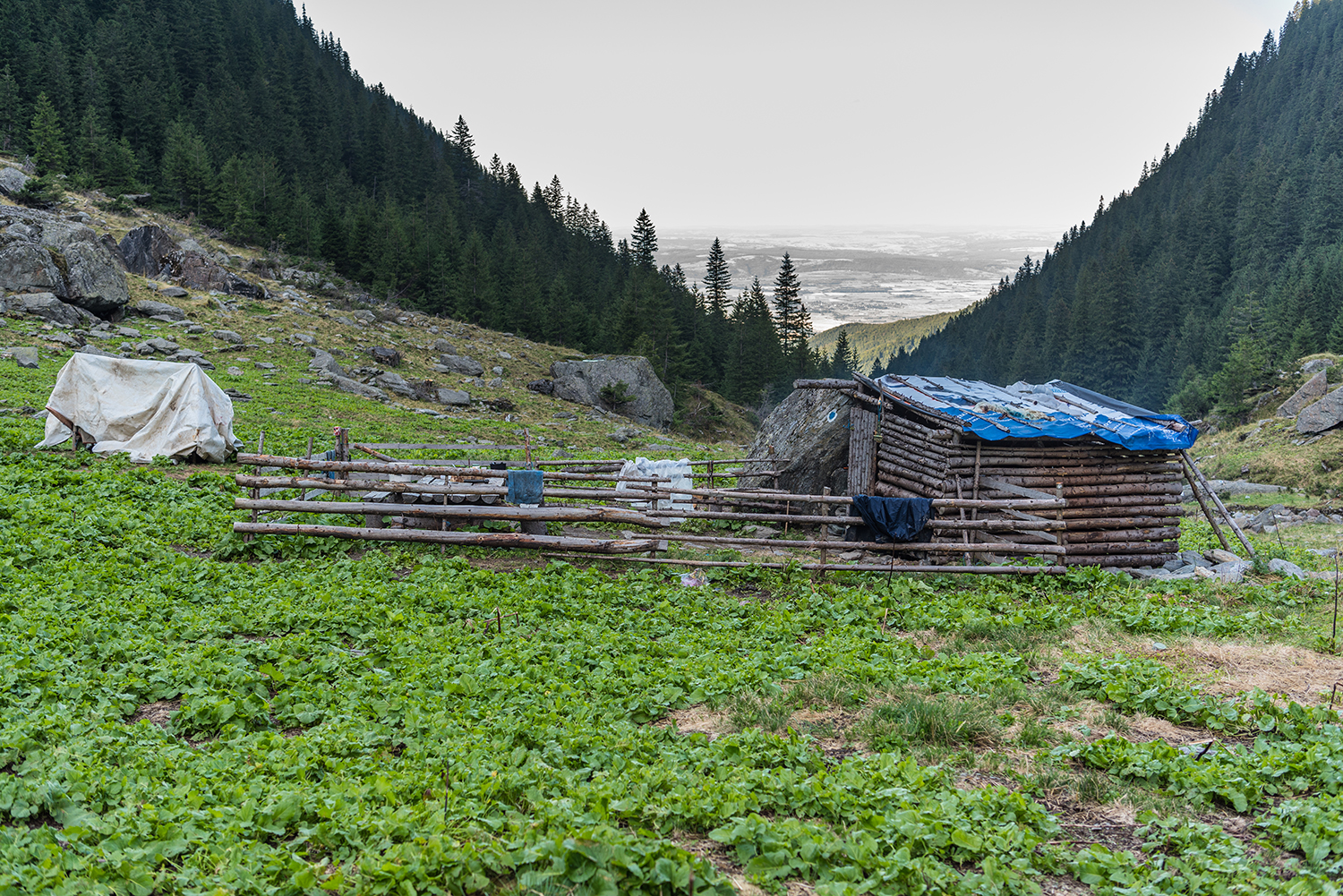 Munții Făgărașului