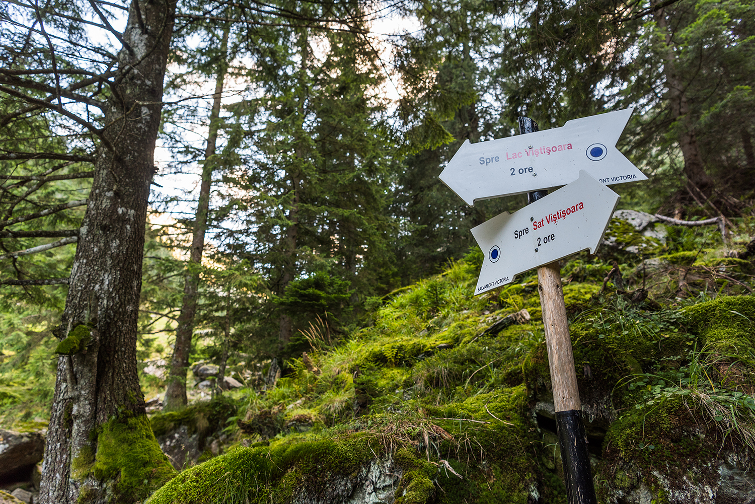 Munții Făgărașului