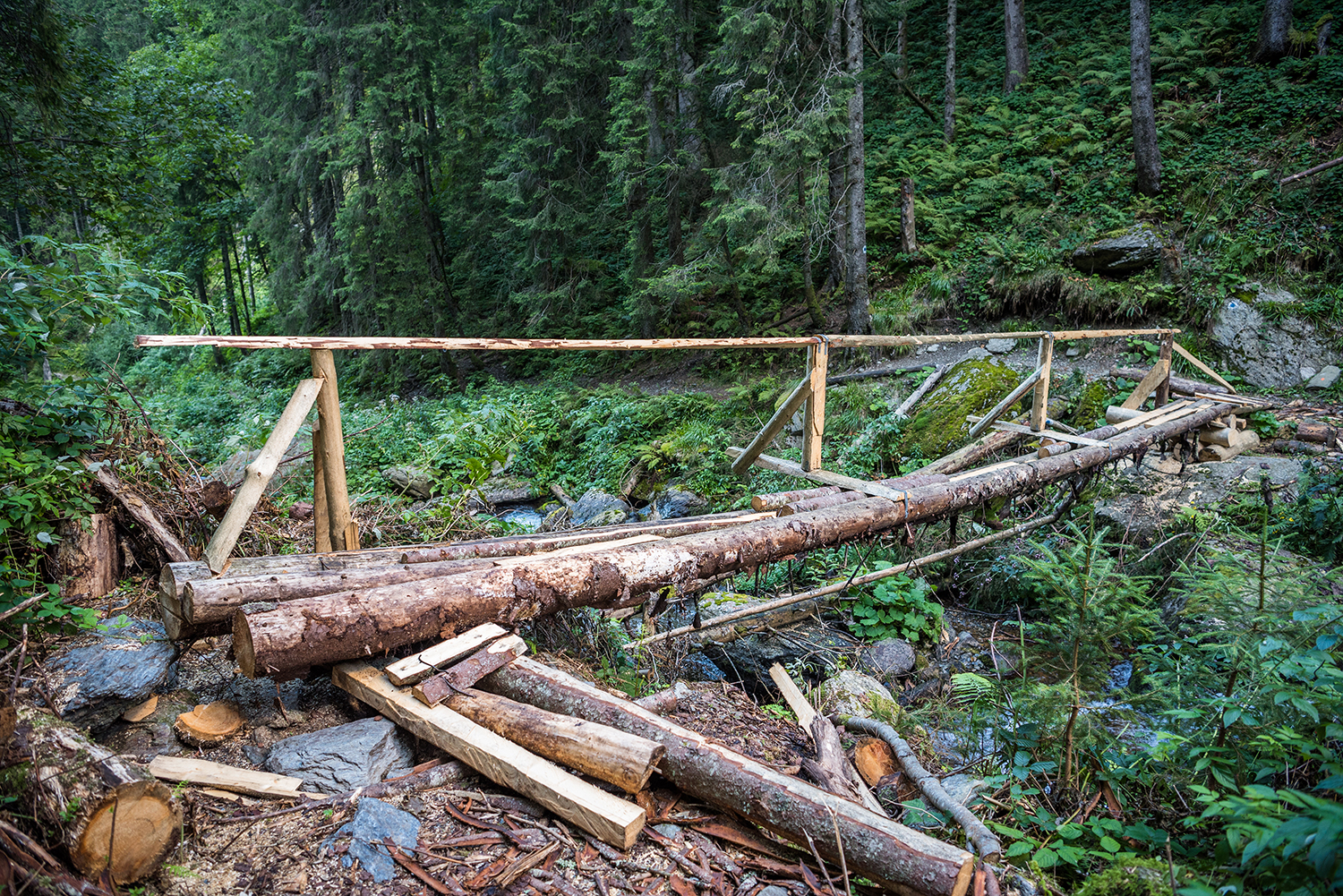 Munții Făgărașului