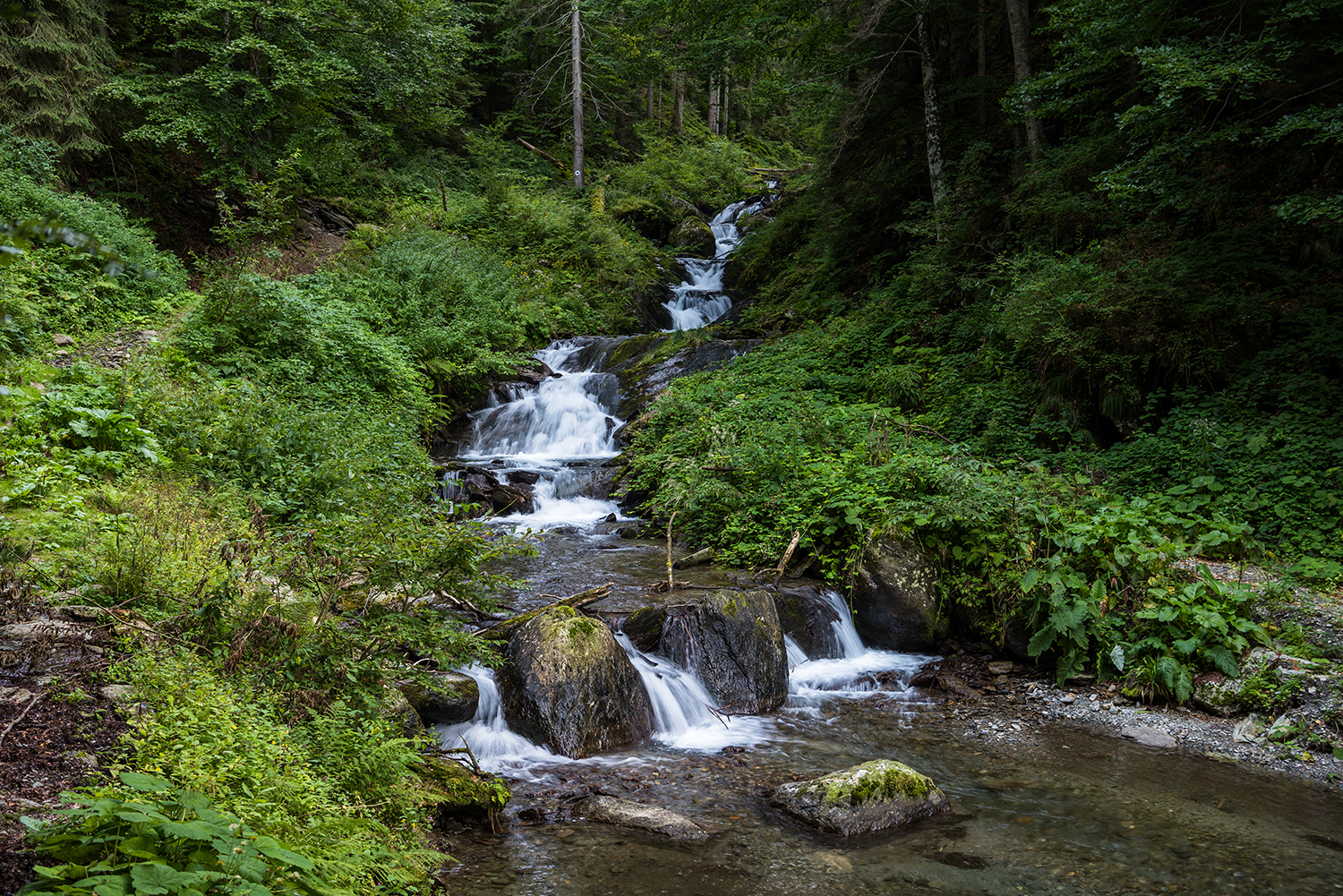 Munții Făgărașului