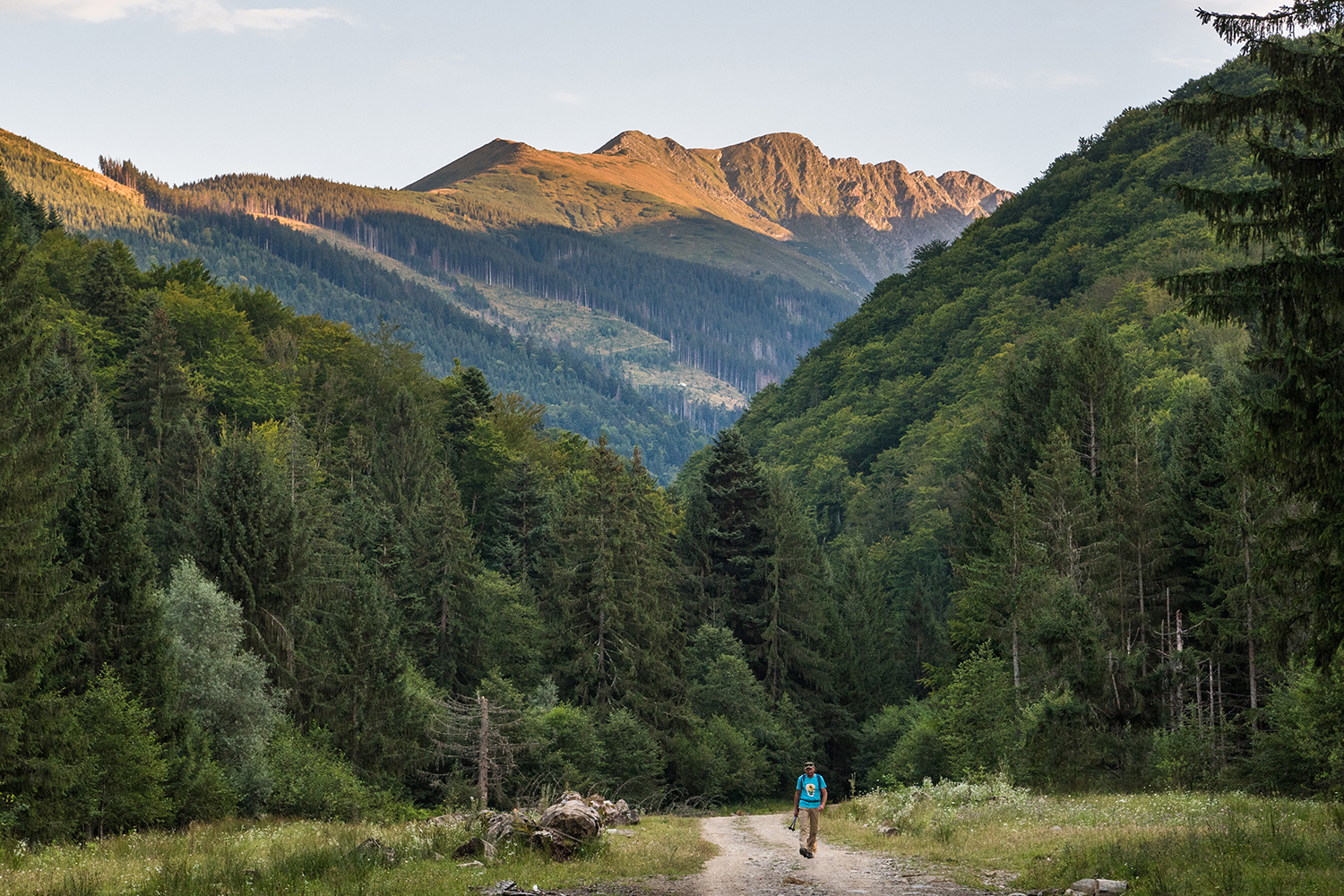 Munții Făgărașului