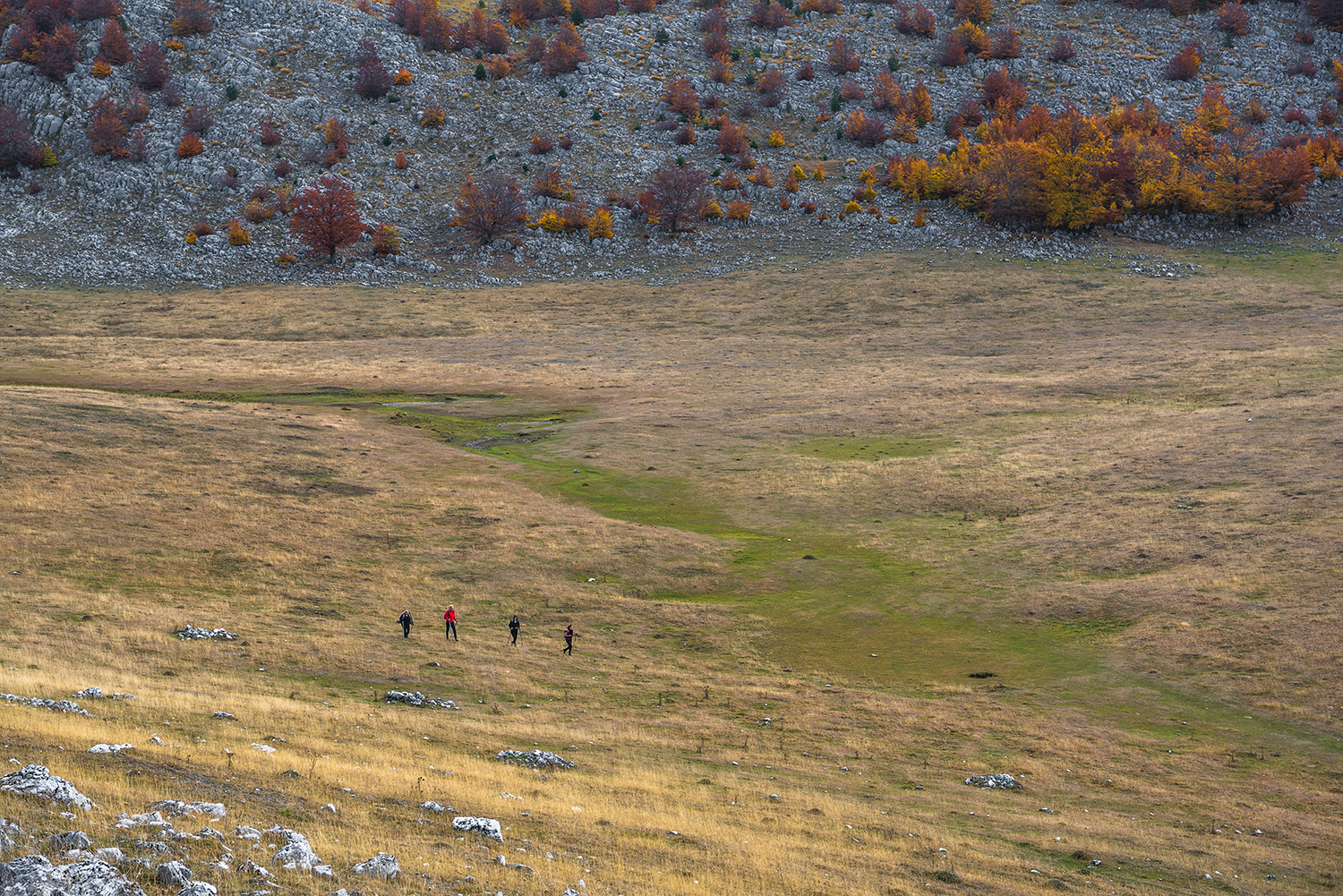 Parcul National Domogled-Valea Cernei