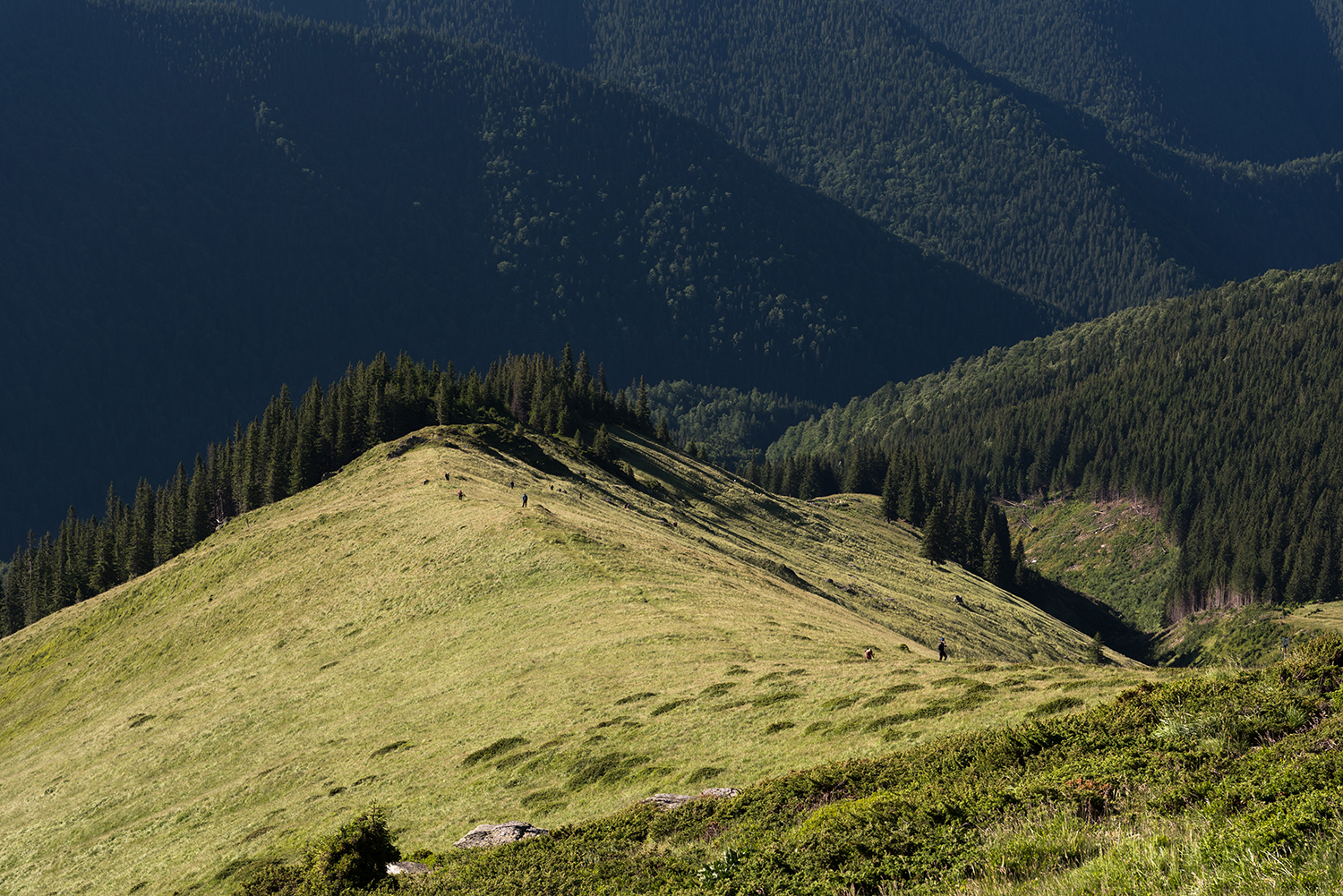 Munții Făgărașului