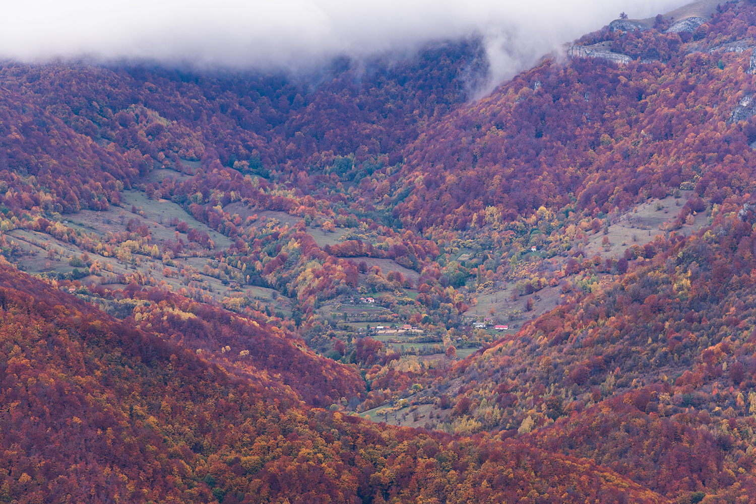 Parcul National Domogled-Valea Cernei