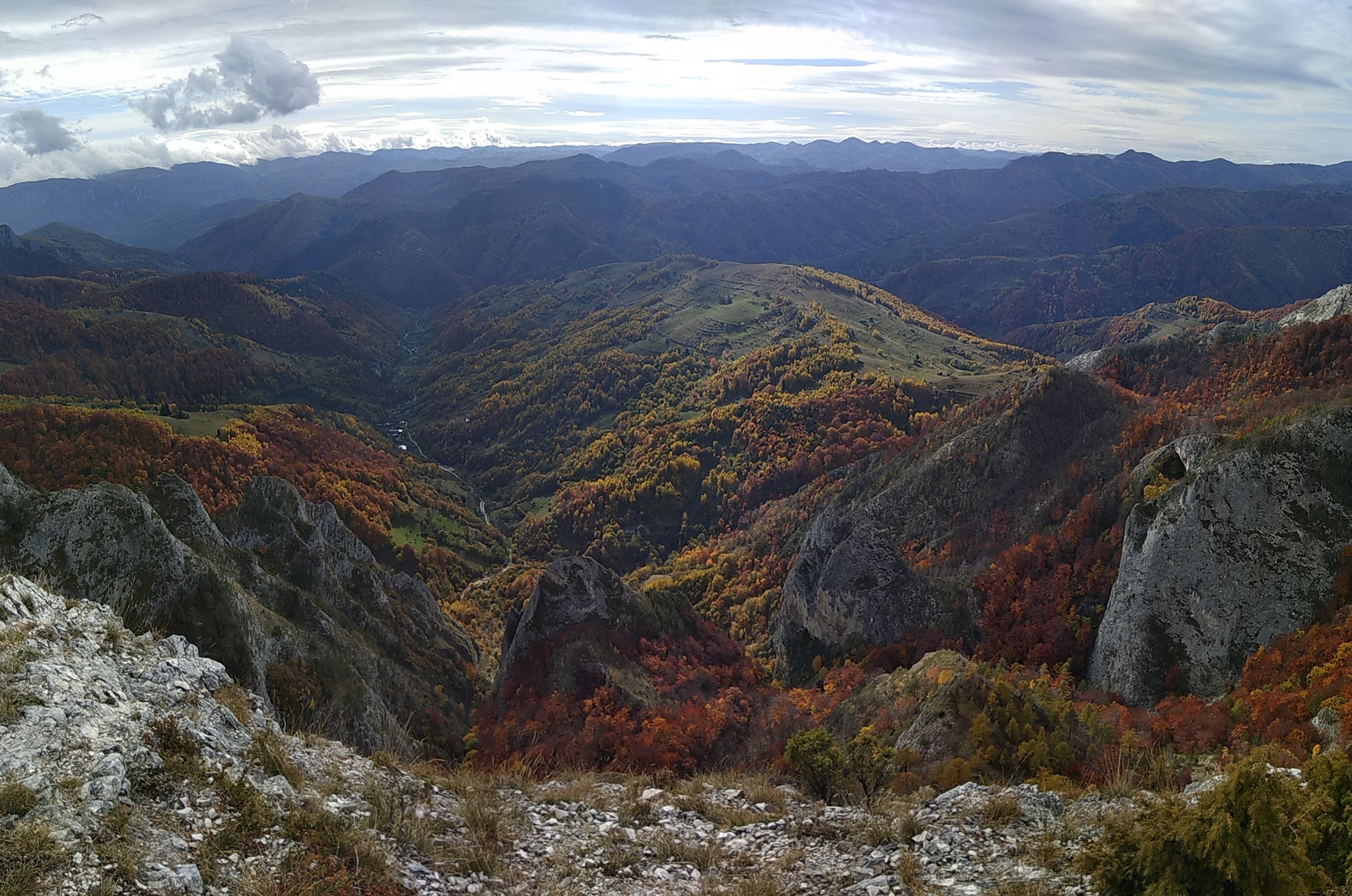  Frenezie de culori - Manu Munțomanu