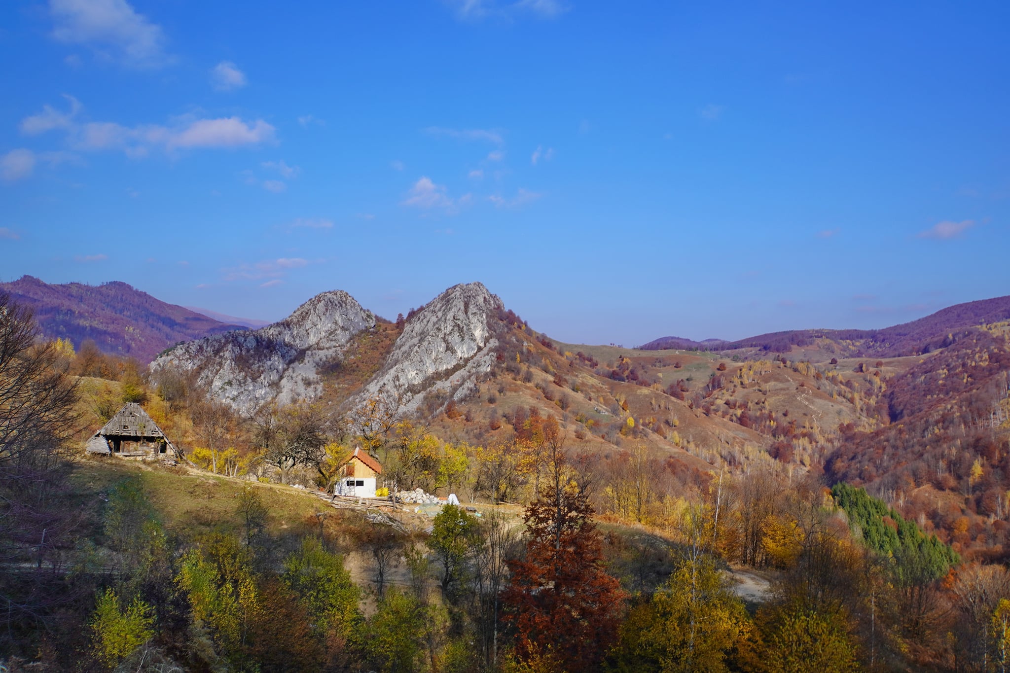  Geanțurile Cernei - Adrian Vintilă