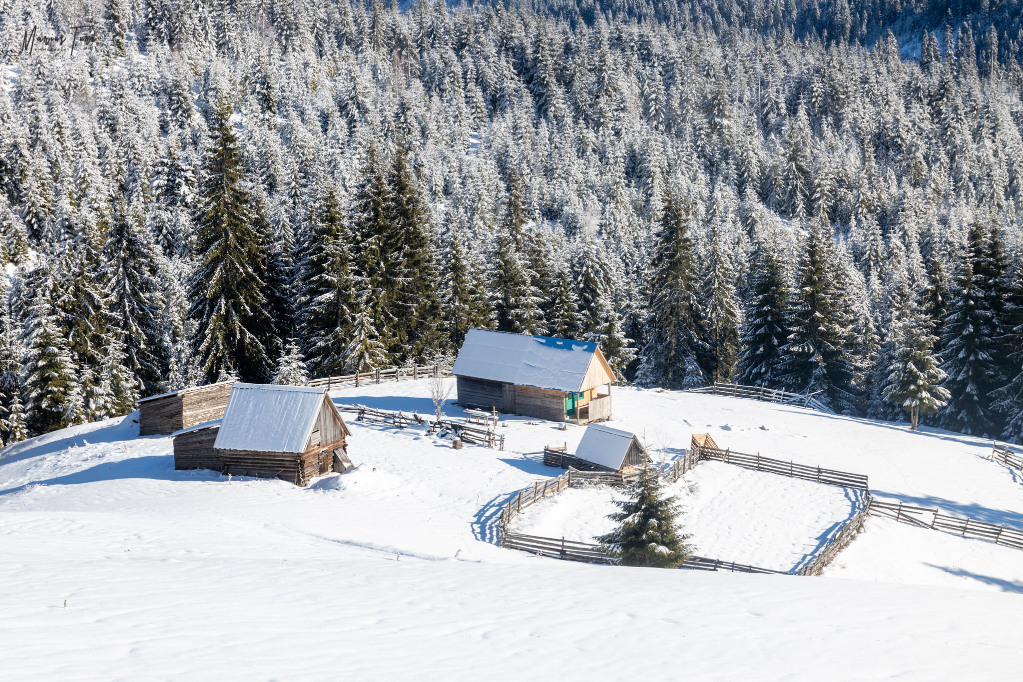  Gospodarie - Marius Turc