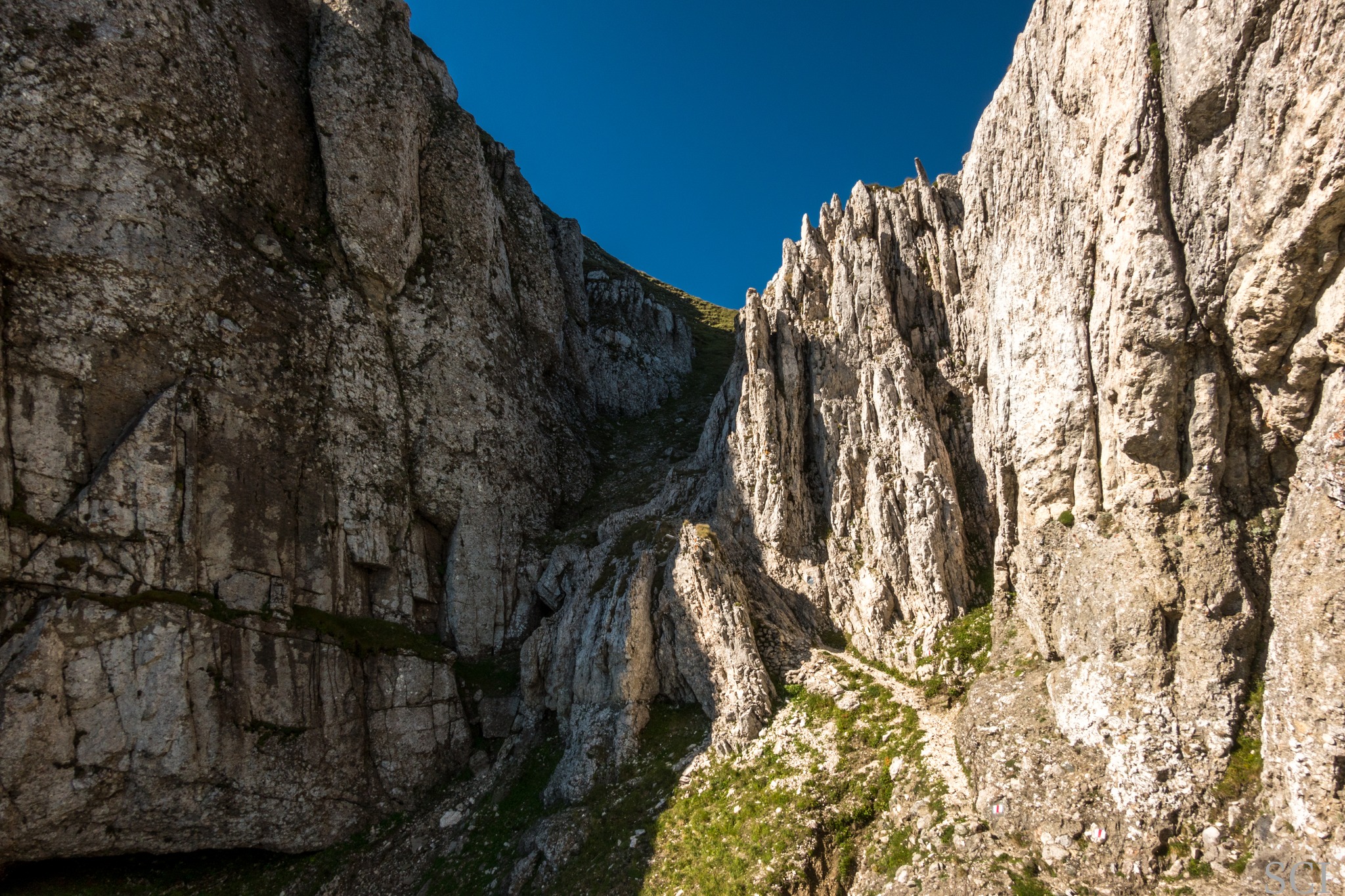  Hornul Țigănești - Csaba-Ilie Silvesan