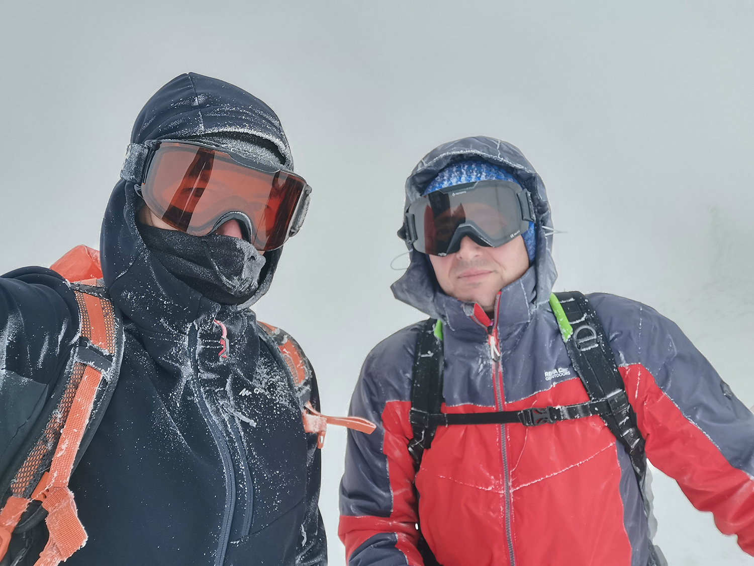 Carpații Meridionali