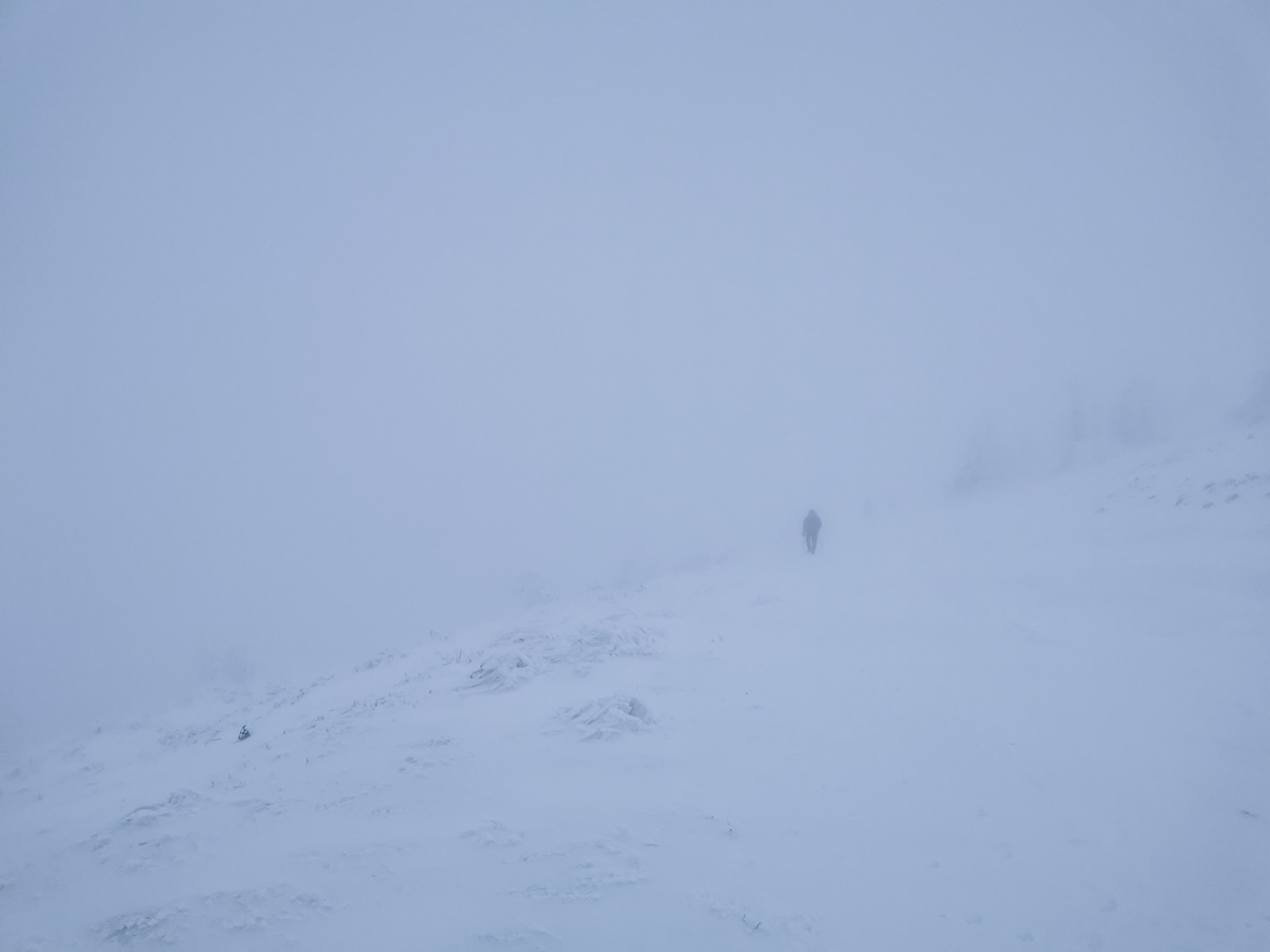 Carpații Meridionali