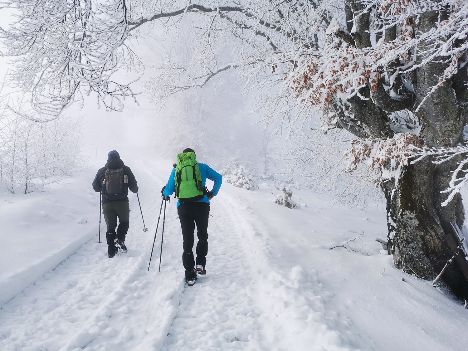 Vârful Cucurbăta Mică