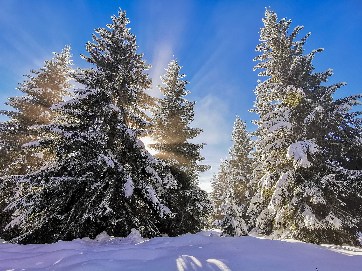 Vârful Cucurbăta Mică