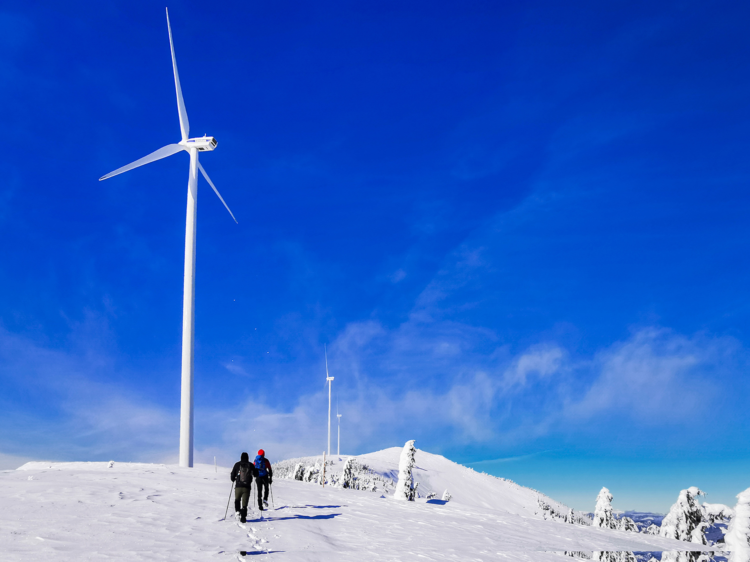 Vârful Cucurbăta Mică