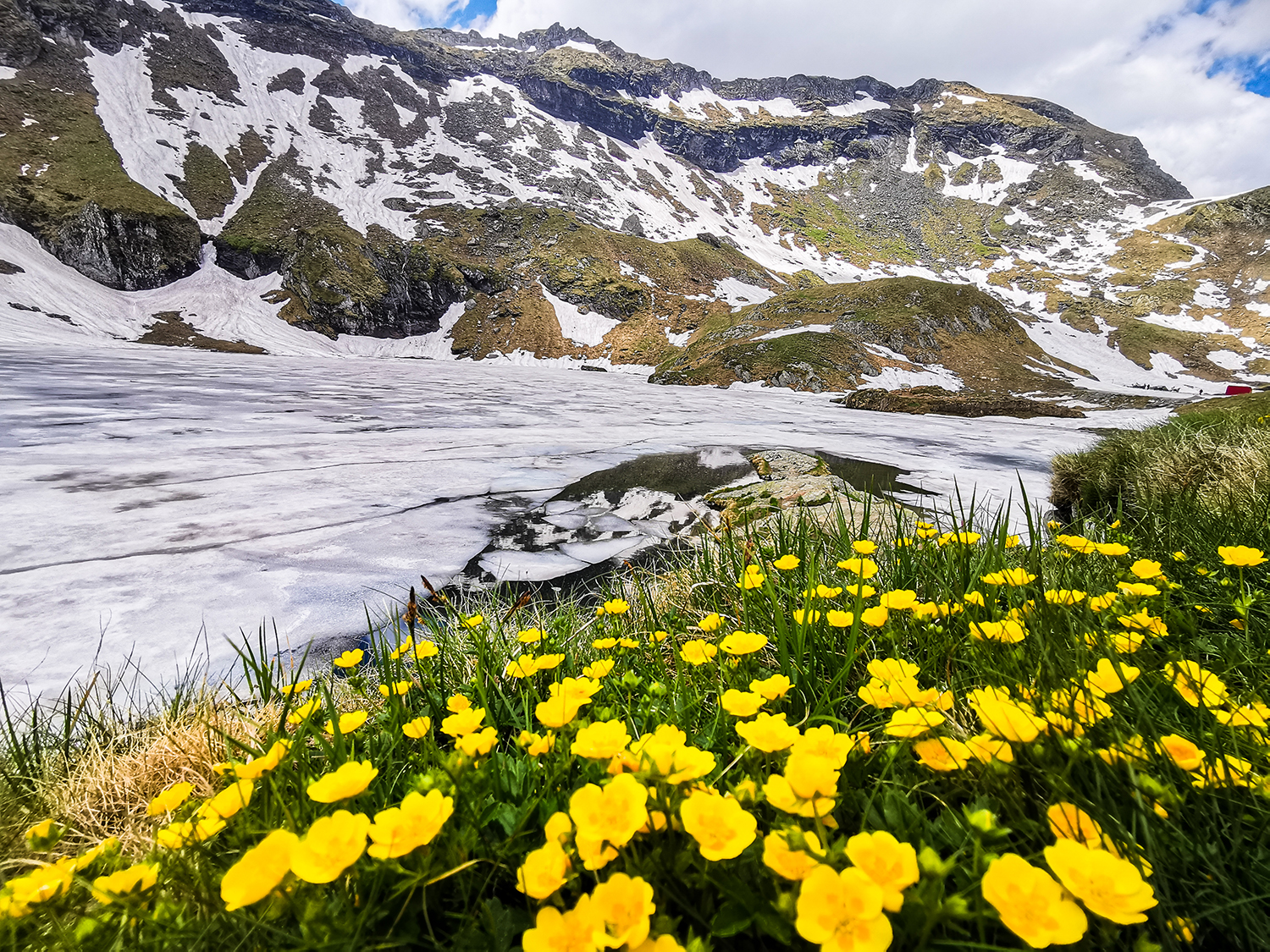 Munții Făgărașului