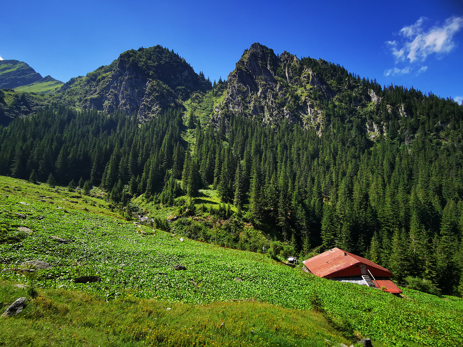 Munții Făgărașului