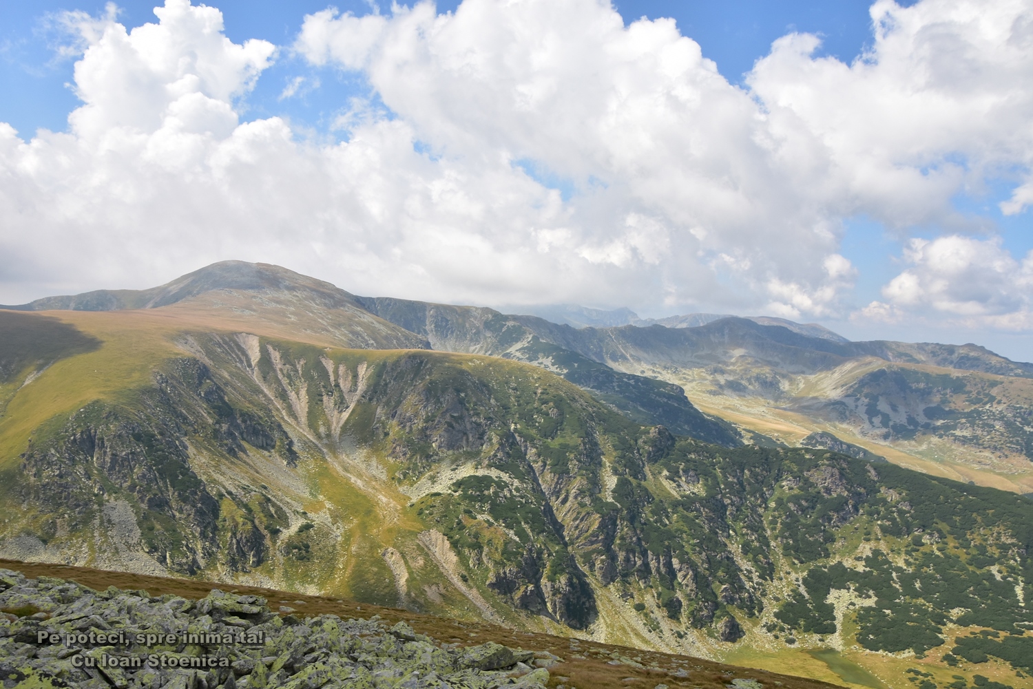 vedere spre Setea Mare