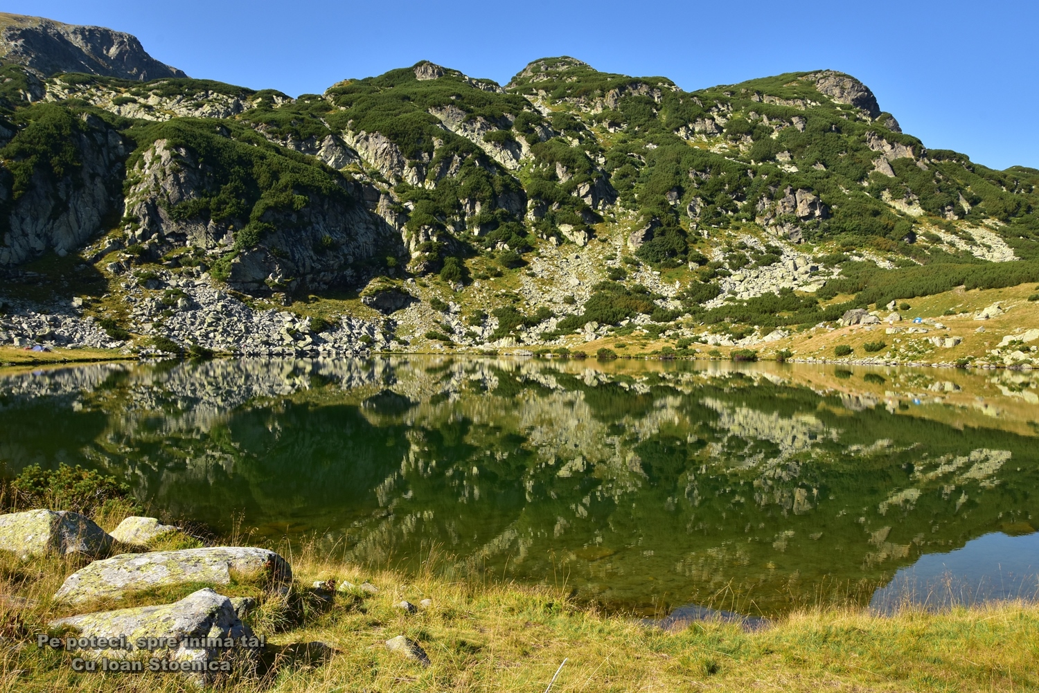  lacul galcescu reflexii