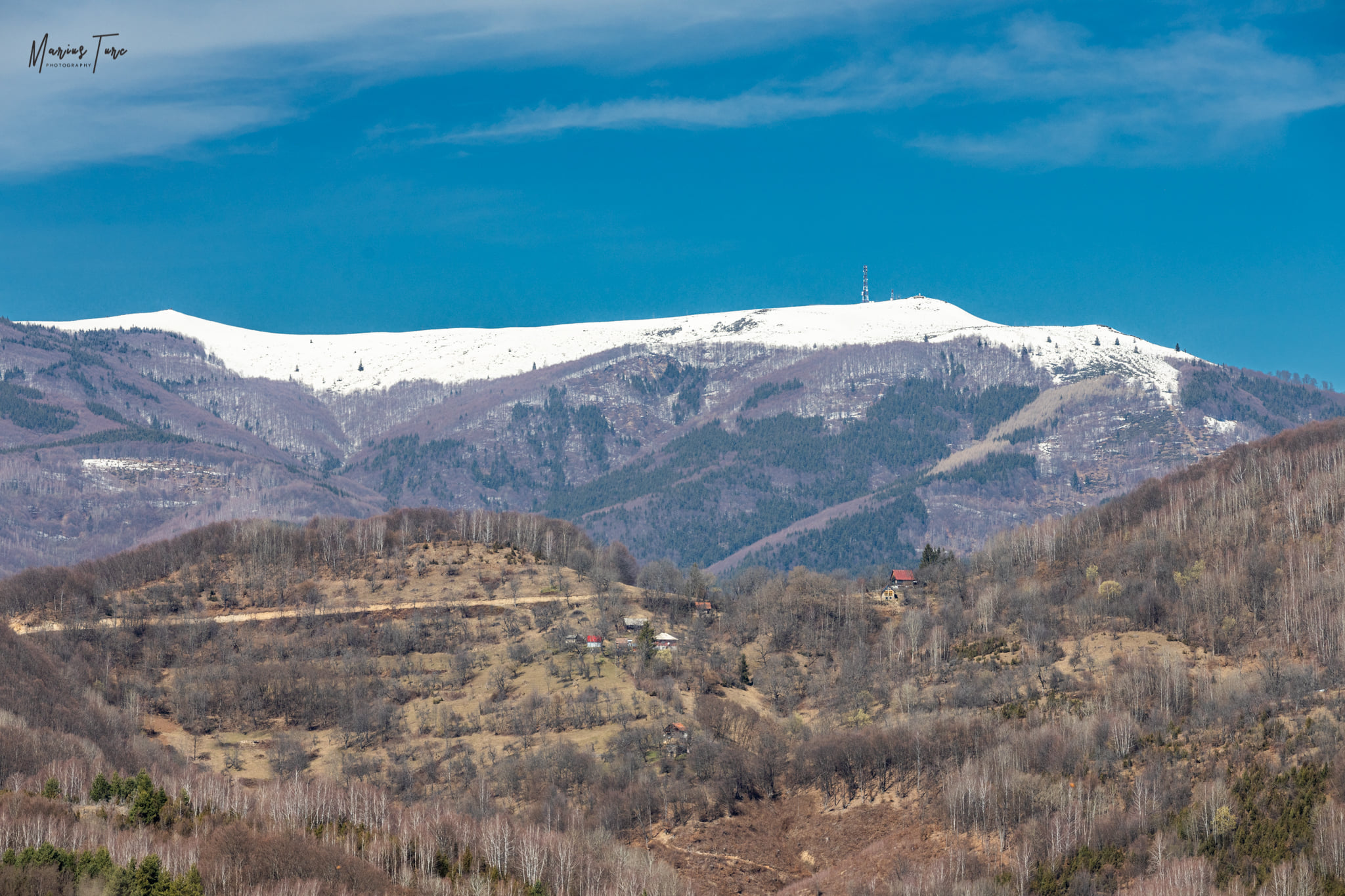  In departare Paulesti - Marius Turc