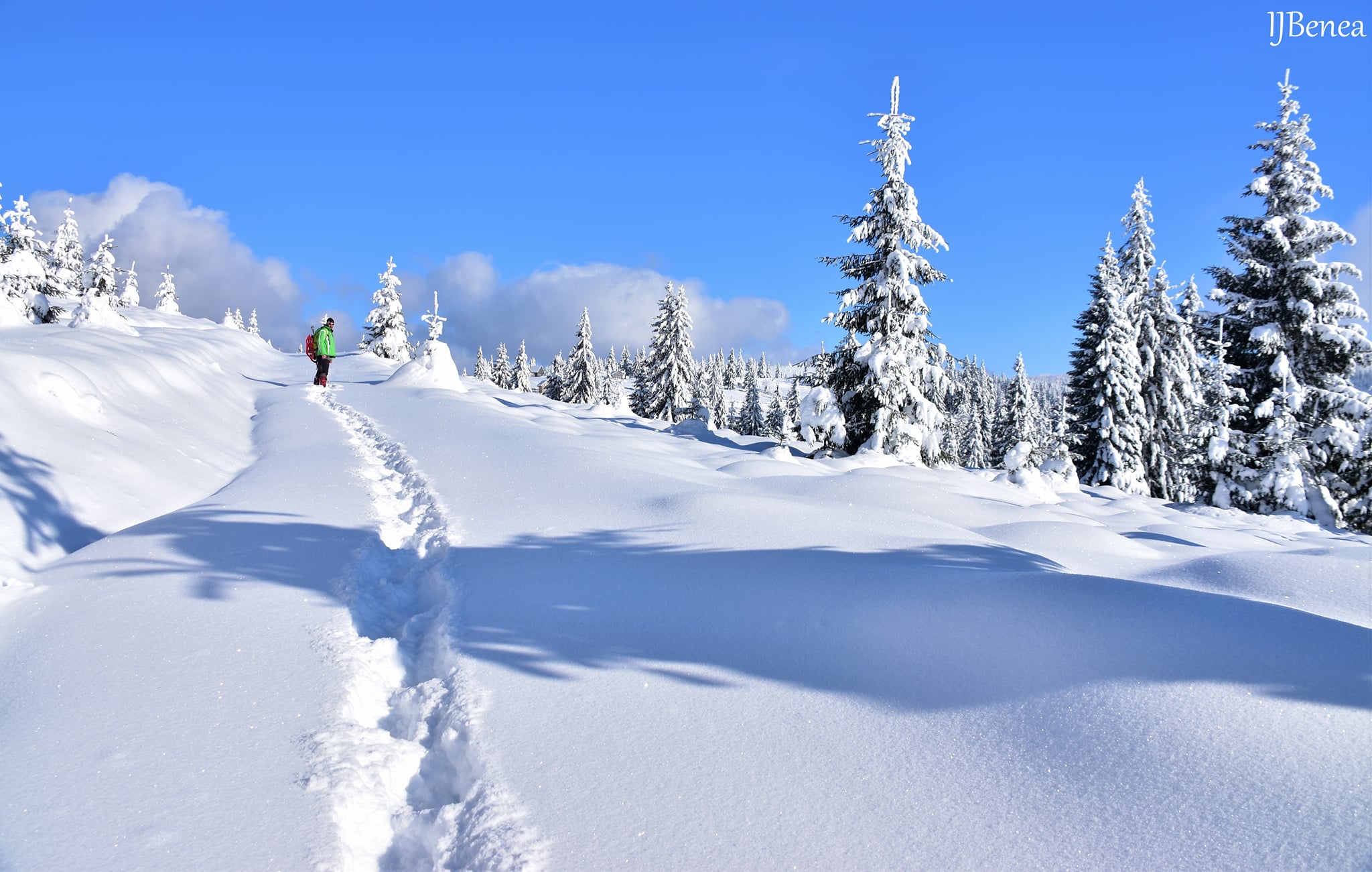  In urcare pe Dealul Coachii - Ioan Benea Jurca