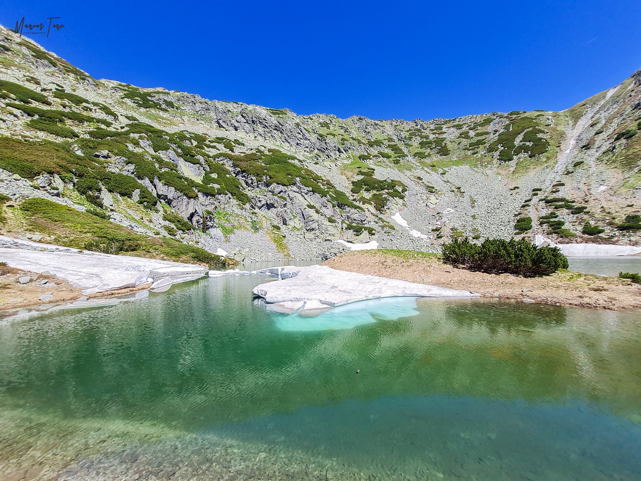  Insulița de vegetație din Tăul Țapului - Marius Turc