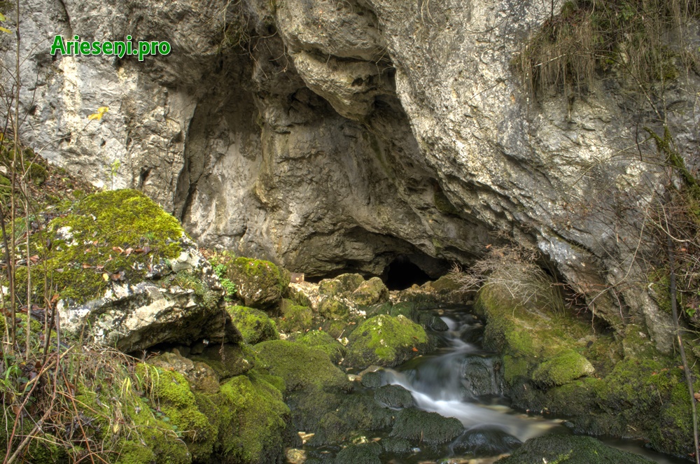  Izbucul Cotețul Dobreștilor- ArieseniPro