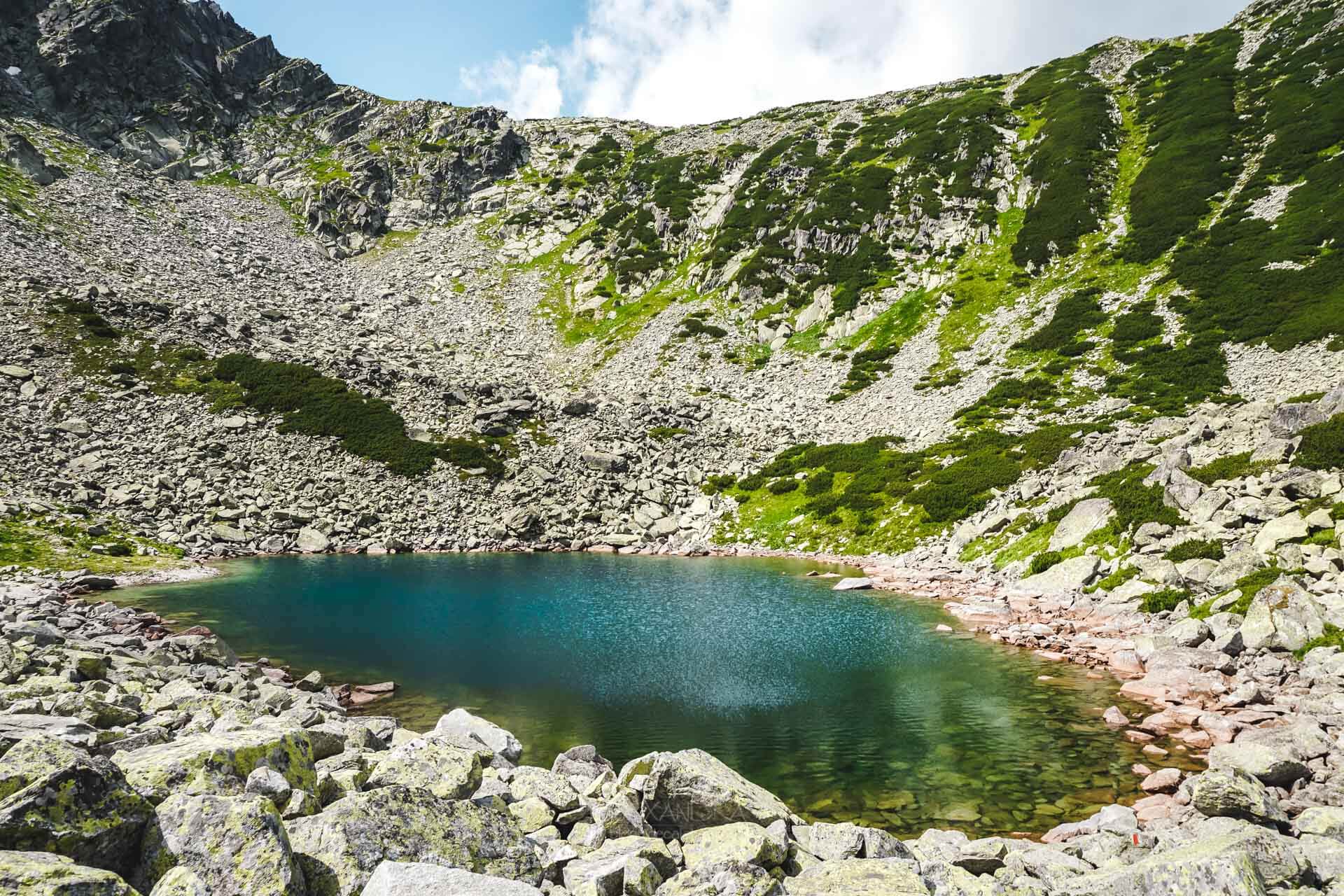  Lacu Stevia - Alexandra Pușcașu