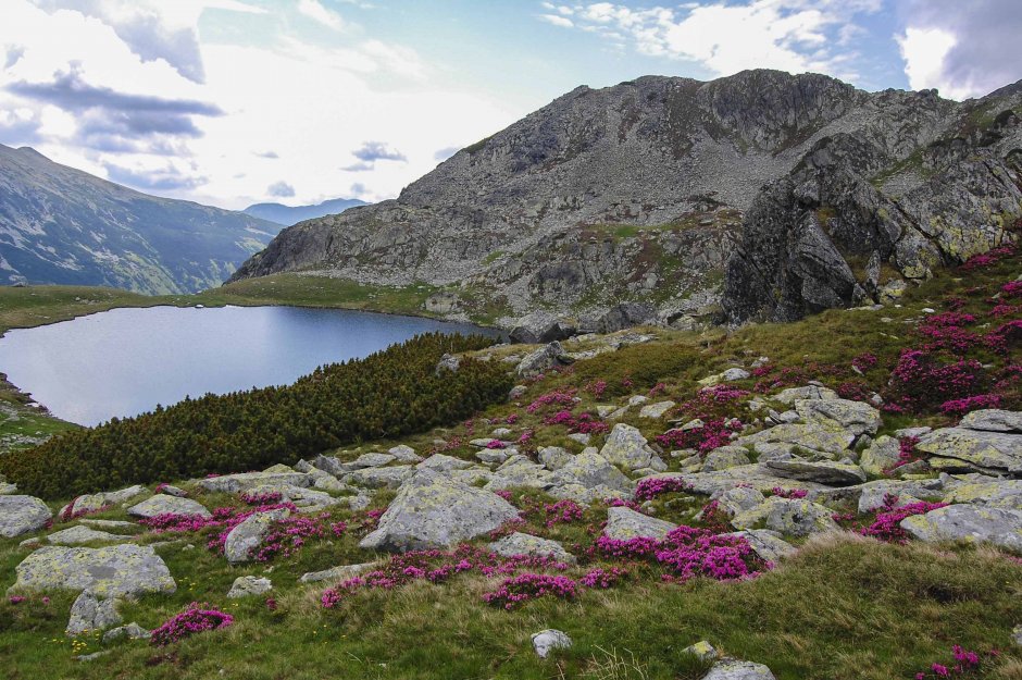  Lacul Galeșul - Munții Noștri