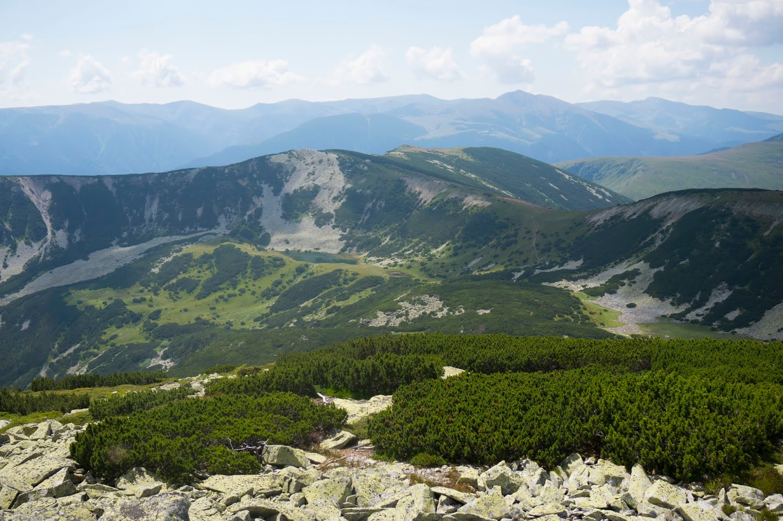  Lacul Netiș, pe fundal vârfurile Gugu și Godeanu  - Alina Cirja