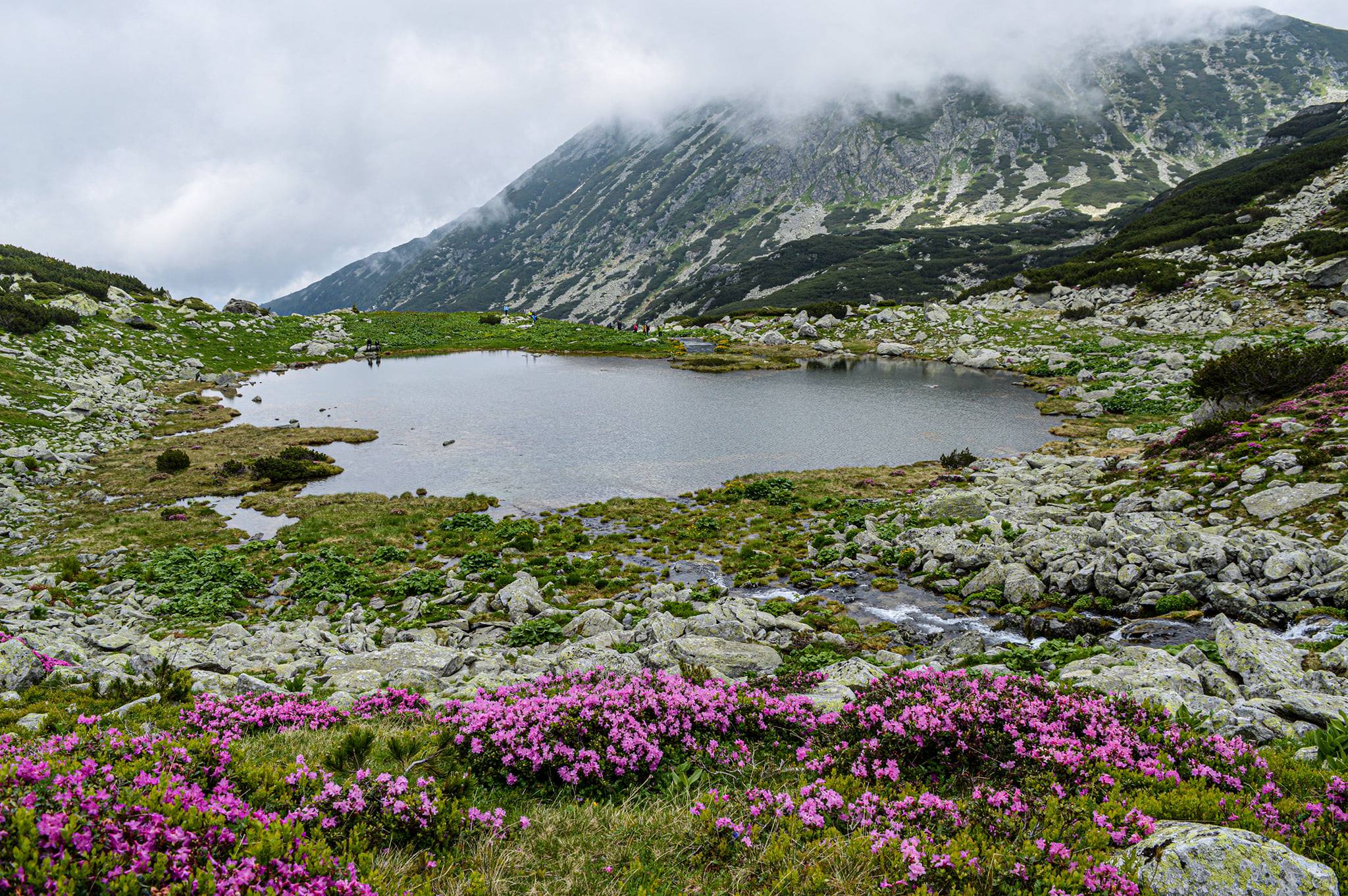  Lacul Pietrele - Nicu Ardeu