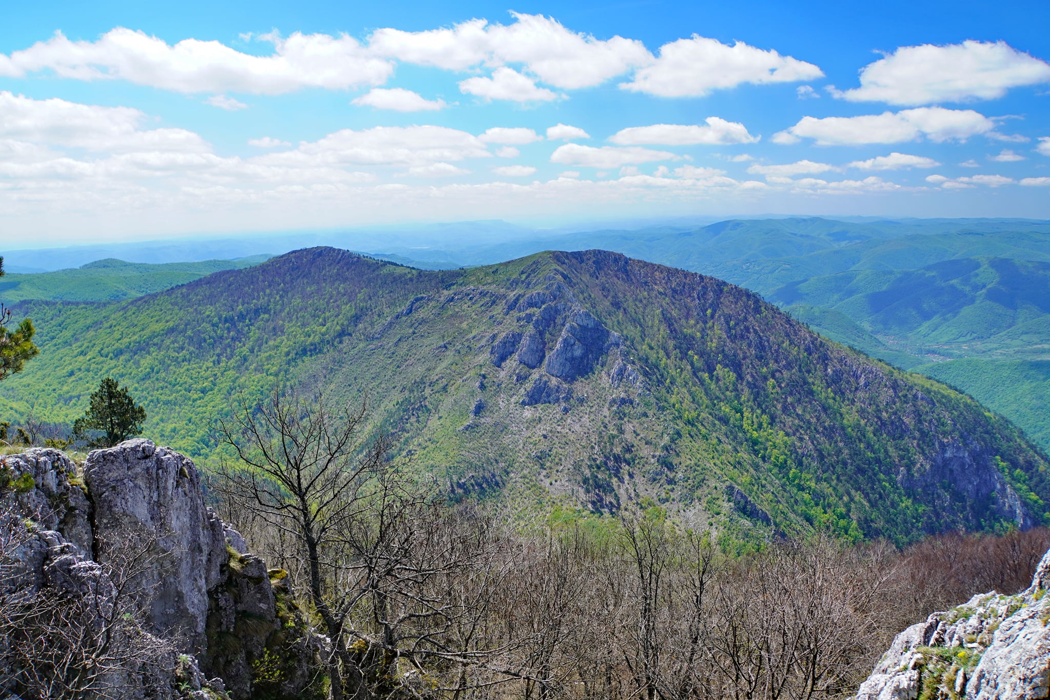  Masivul Domogled în urcare spre Vf. Șușcu - Adrian Vintila