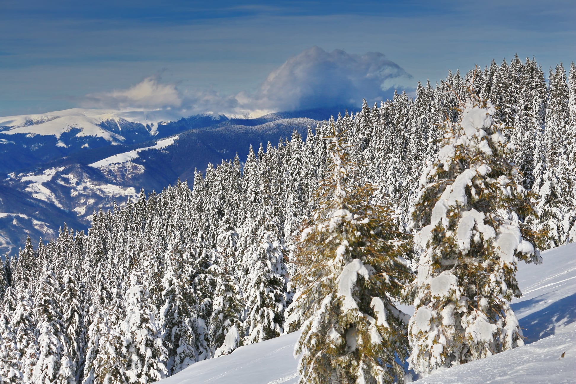  Muntii Latoritei, dincolo de brazi - Liana Marin